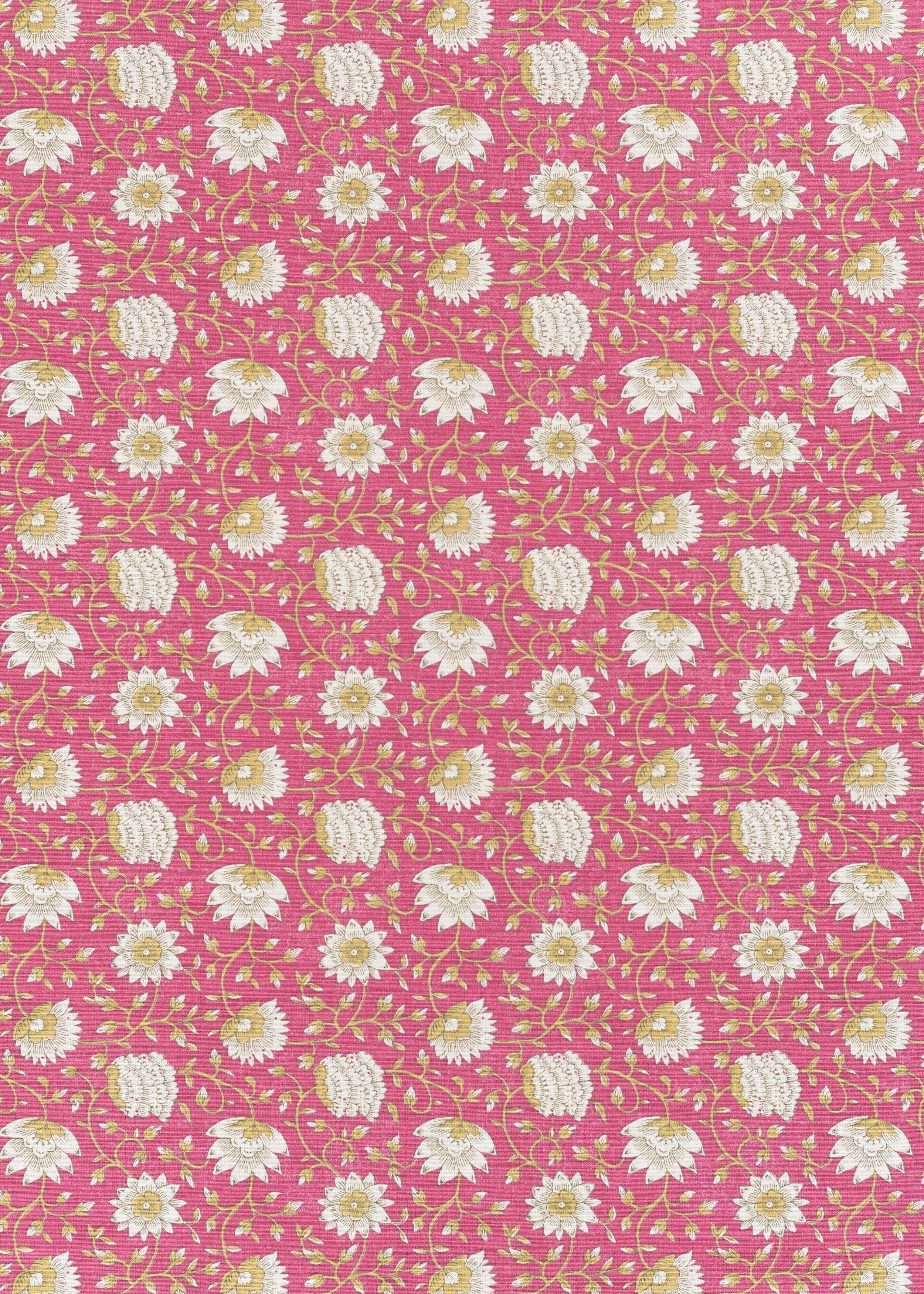 Pali - Pink Yellow on Oyster