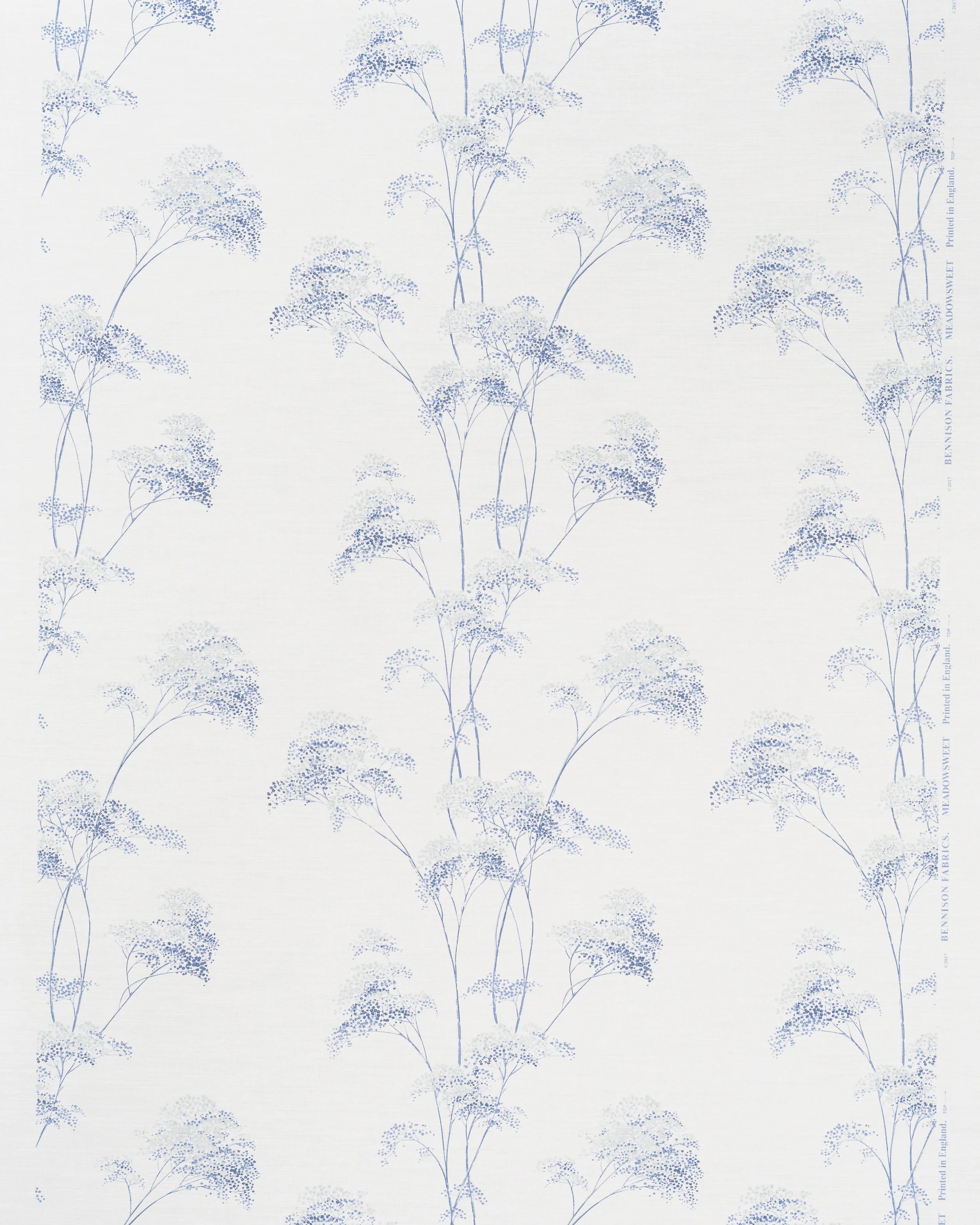Meadowsweet - Blues on Oyster