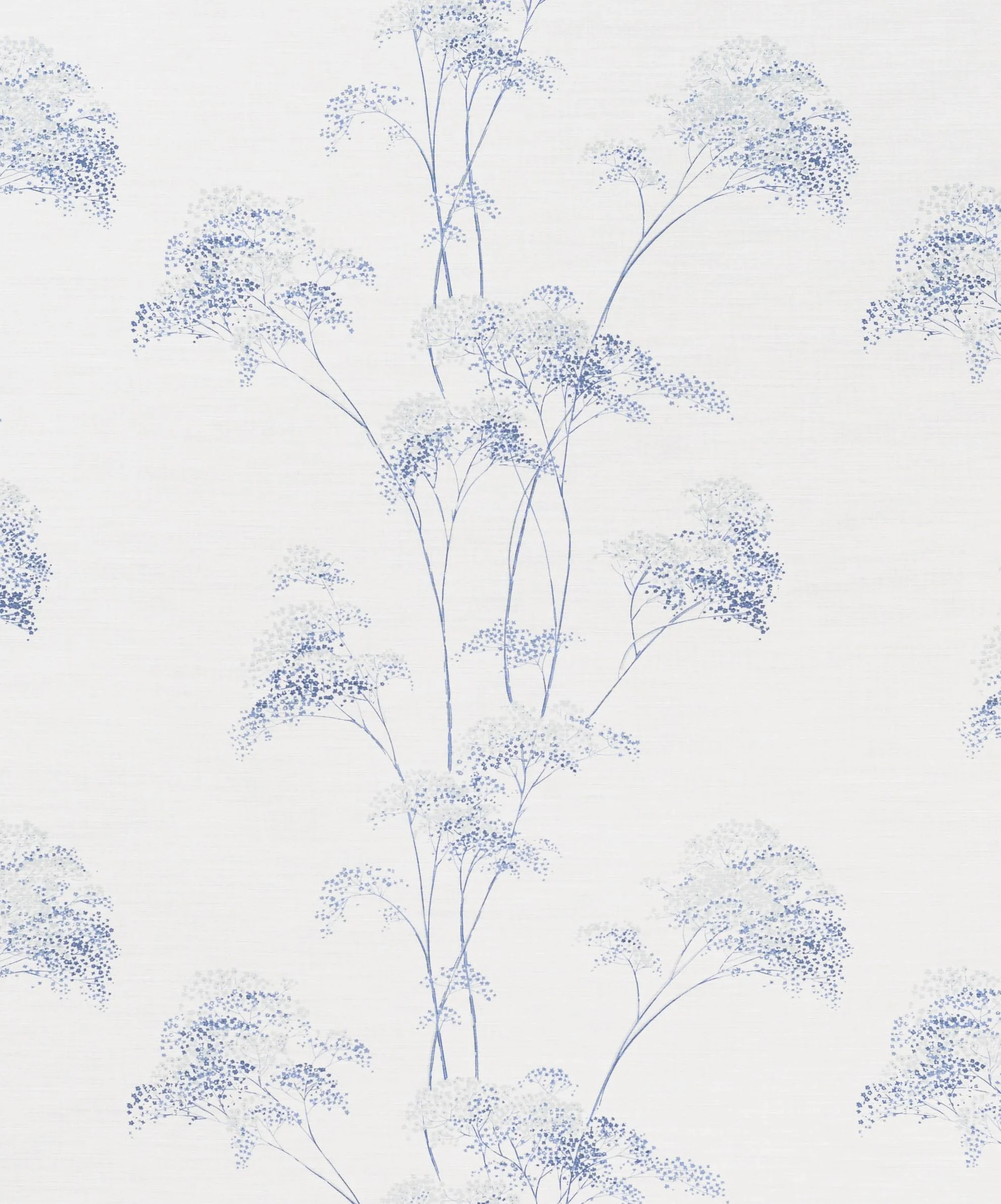 Meadowsweet - Blues on Oyster