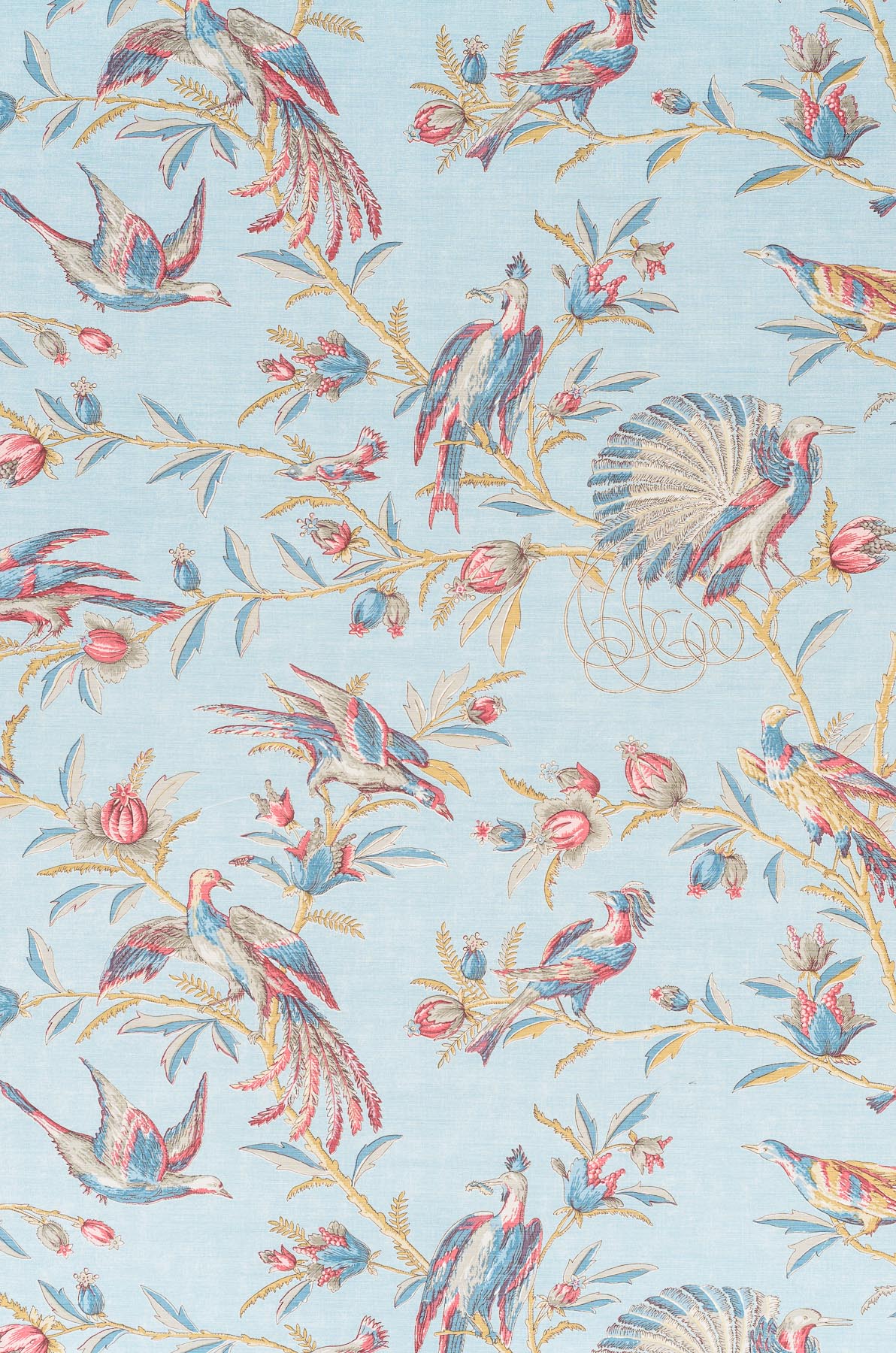 Fantail - Blue on Oyster