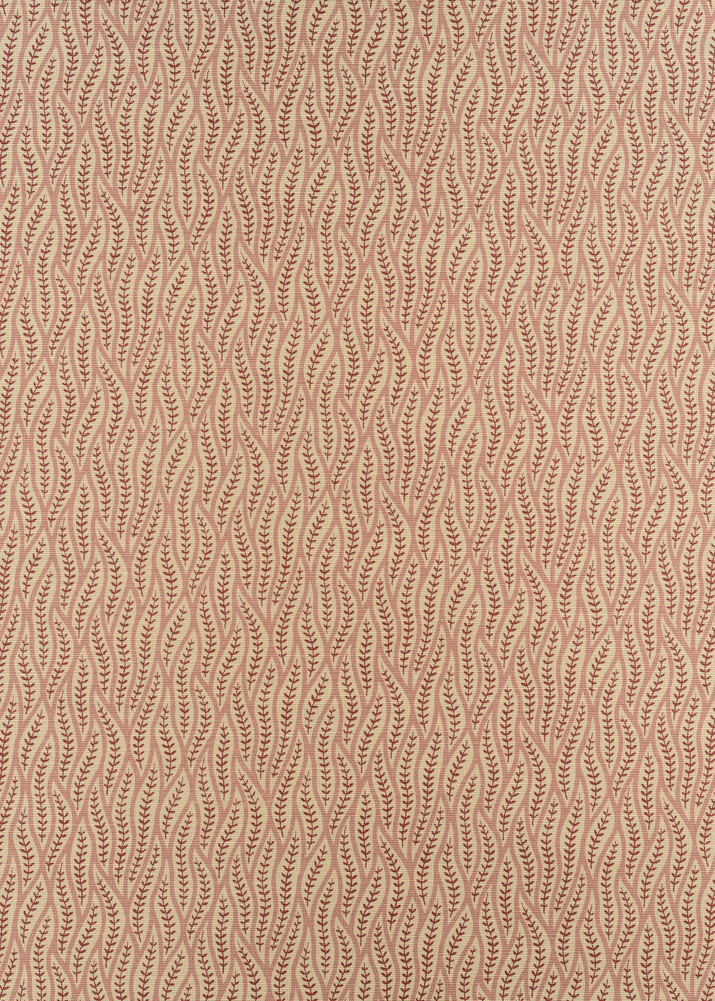 Benjelloun - Red Pink on Beige