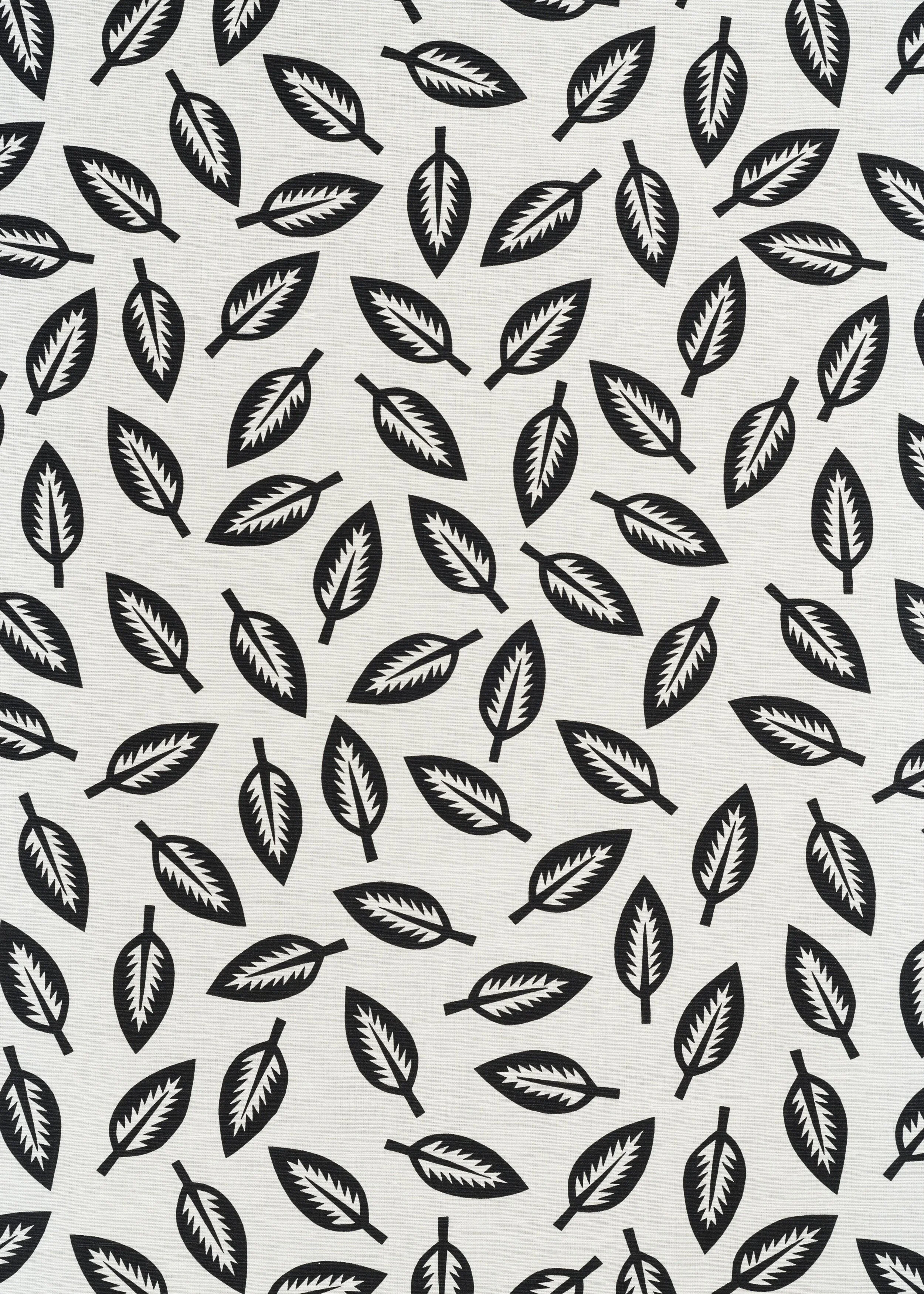 Leaf Cutter - Charcoal on Oyster