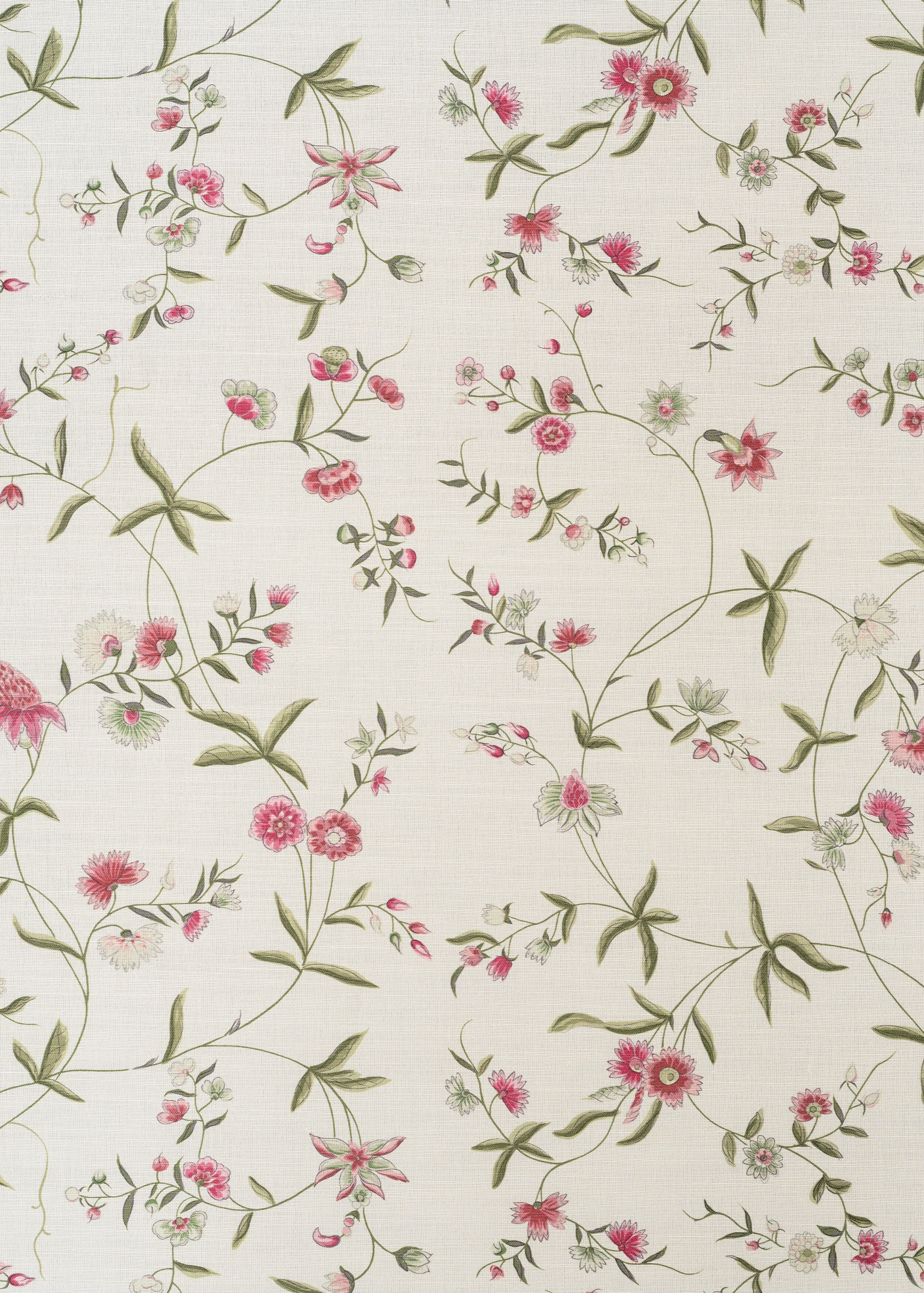 Chinese Paper - Pink Olive on Oyster
