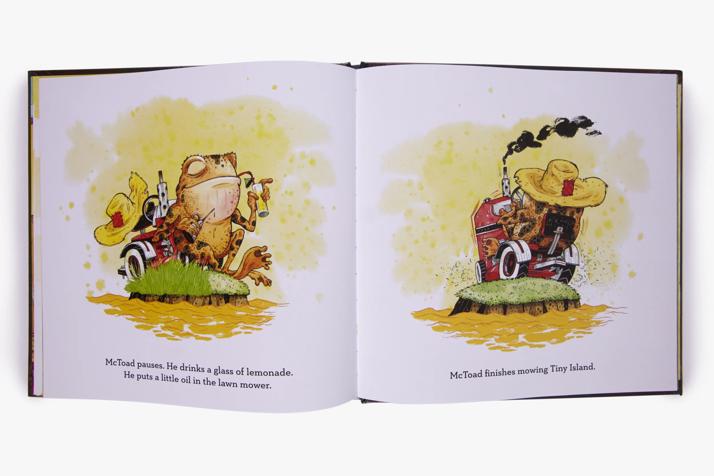 MCTOAD PG 2 Abrams Portfolio 2_171.jpg