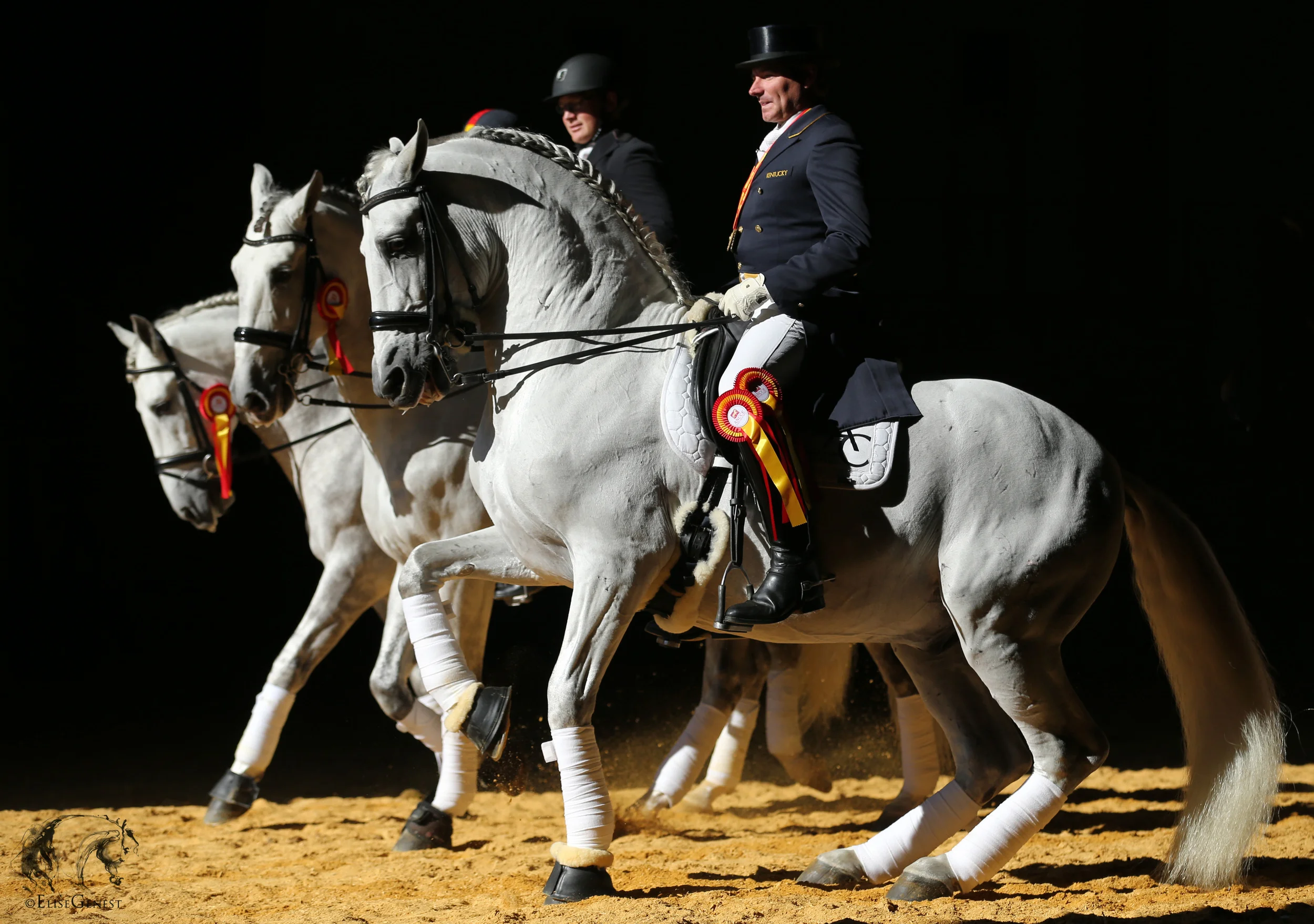 A17U1815 copie.jpg