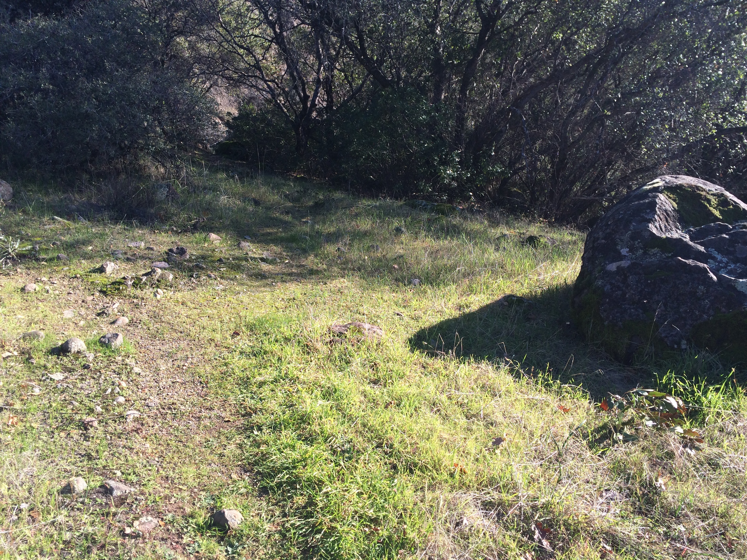  YOU SEE THIS ROCK TO YOUR RIGHT.  While there is no doubt that you will see several rocks throughout the course of this excursion, the trail passes directly by THIS ROCK on your right-hand side. Previously, there was a telephone pole to the left of 