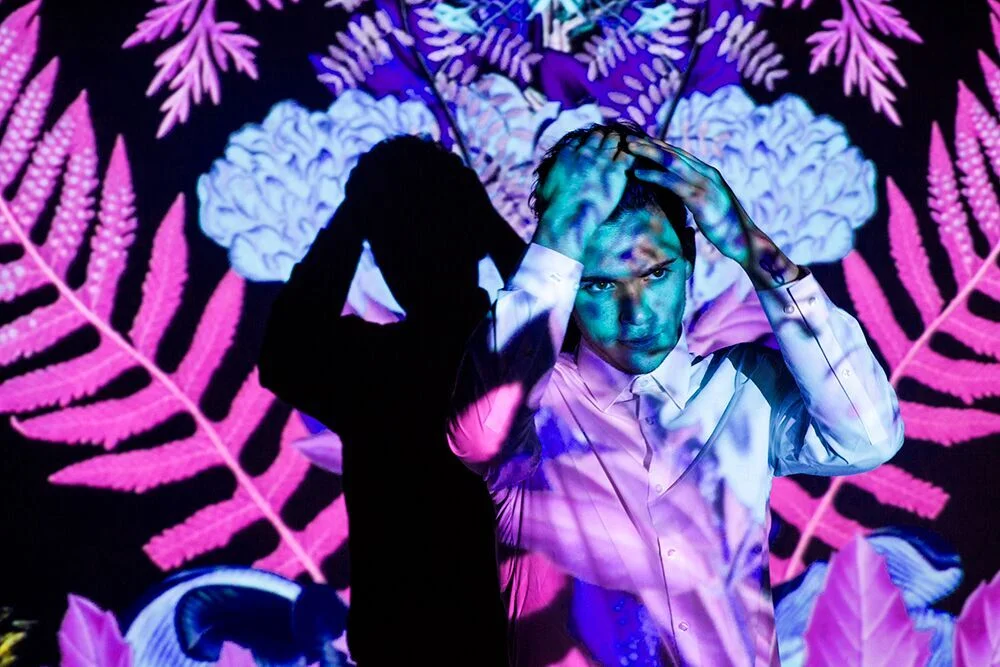 Image provided by Sixto, Floral Geometry Projection