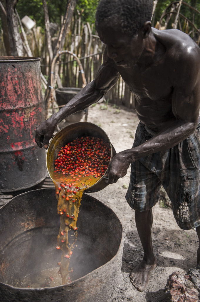The traditional way of producing Palm Oil in Diola, a small village, in South Senegal. Credit: Evan Sung