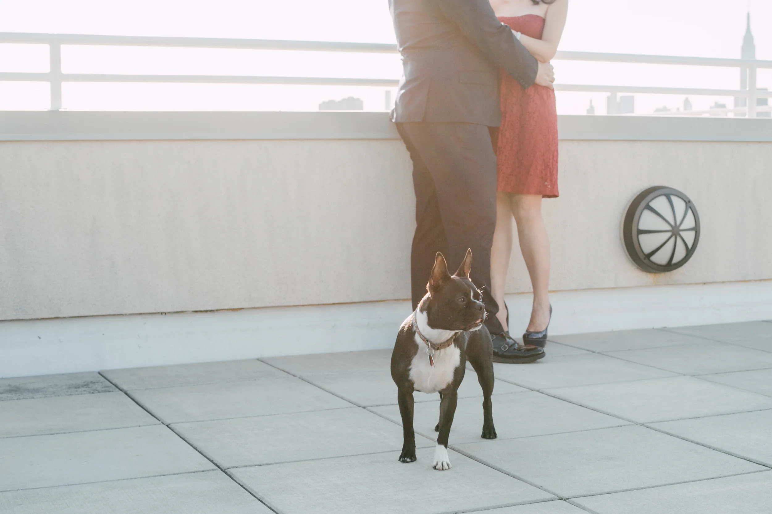 engagement session with dog in ny