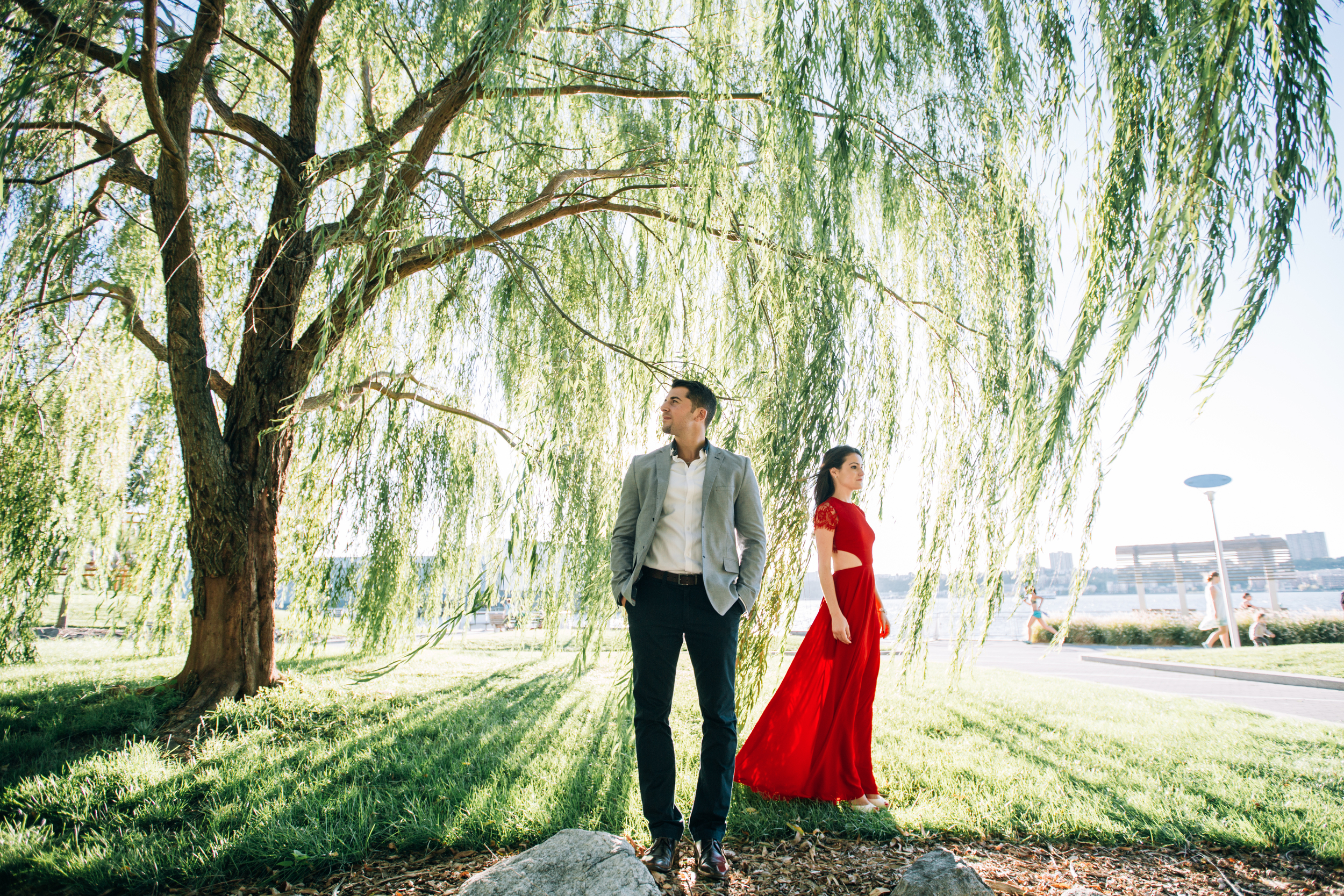 beautiful engagement photography under a weeping willow