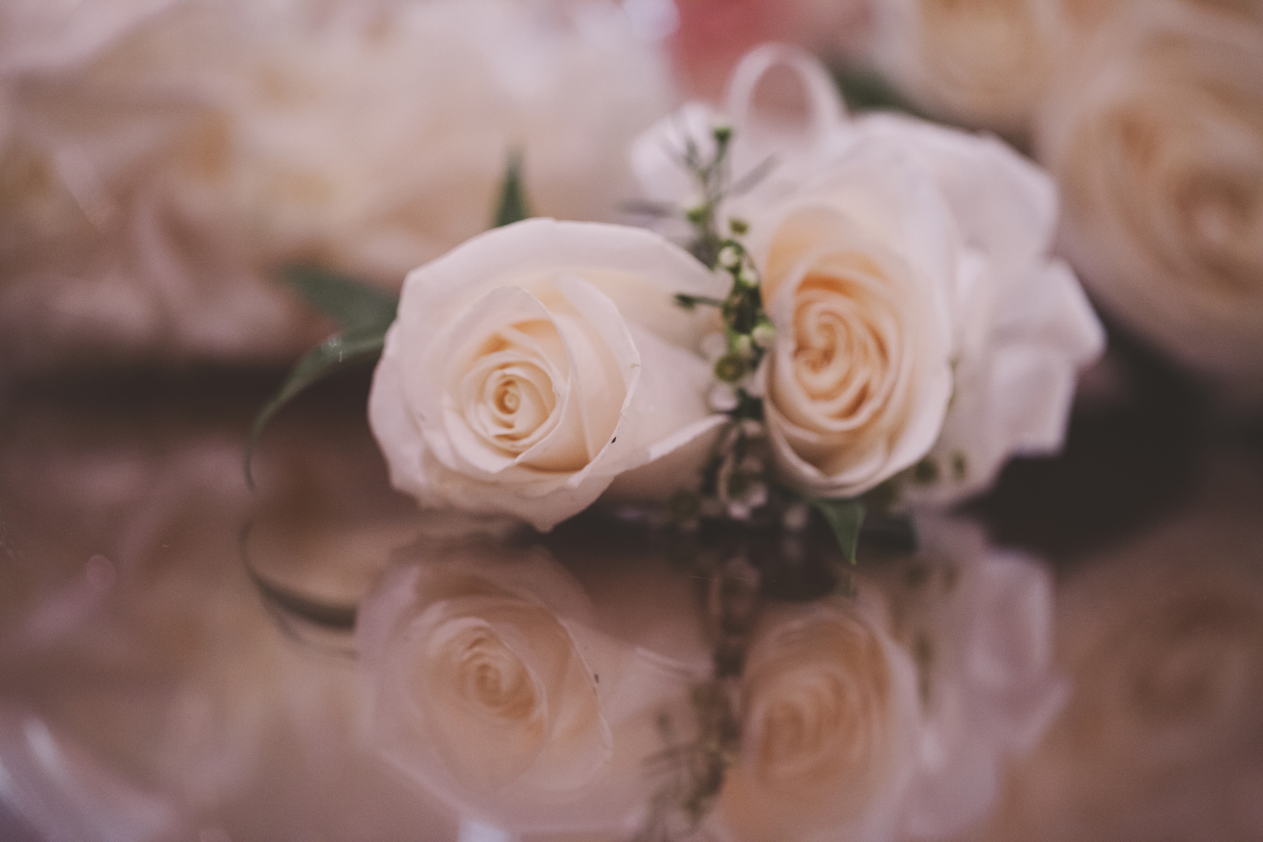 beautiful rose wedding boutonniere 