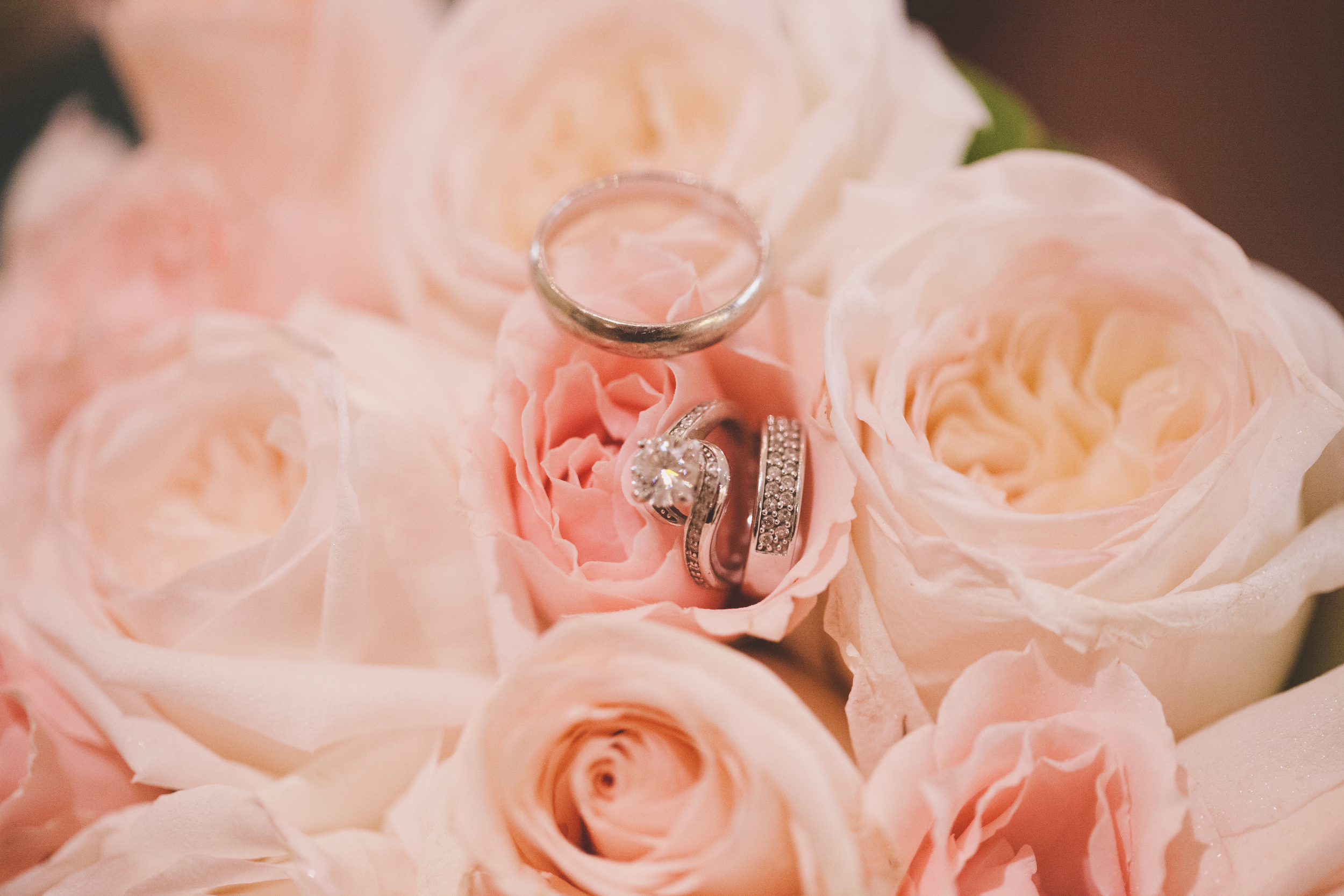 wedding rings in a pink rose bouqet