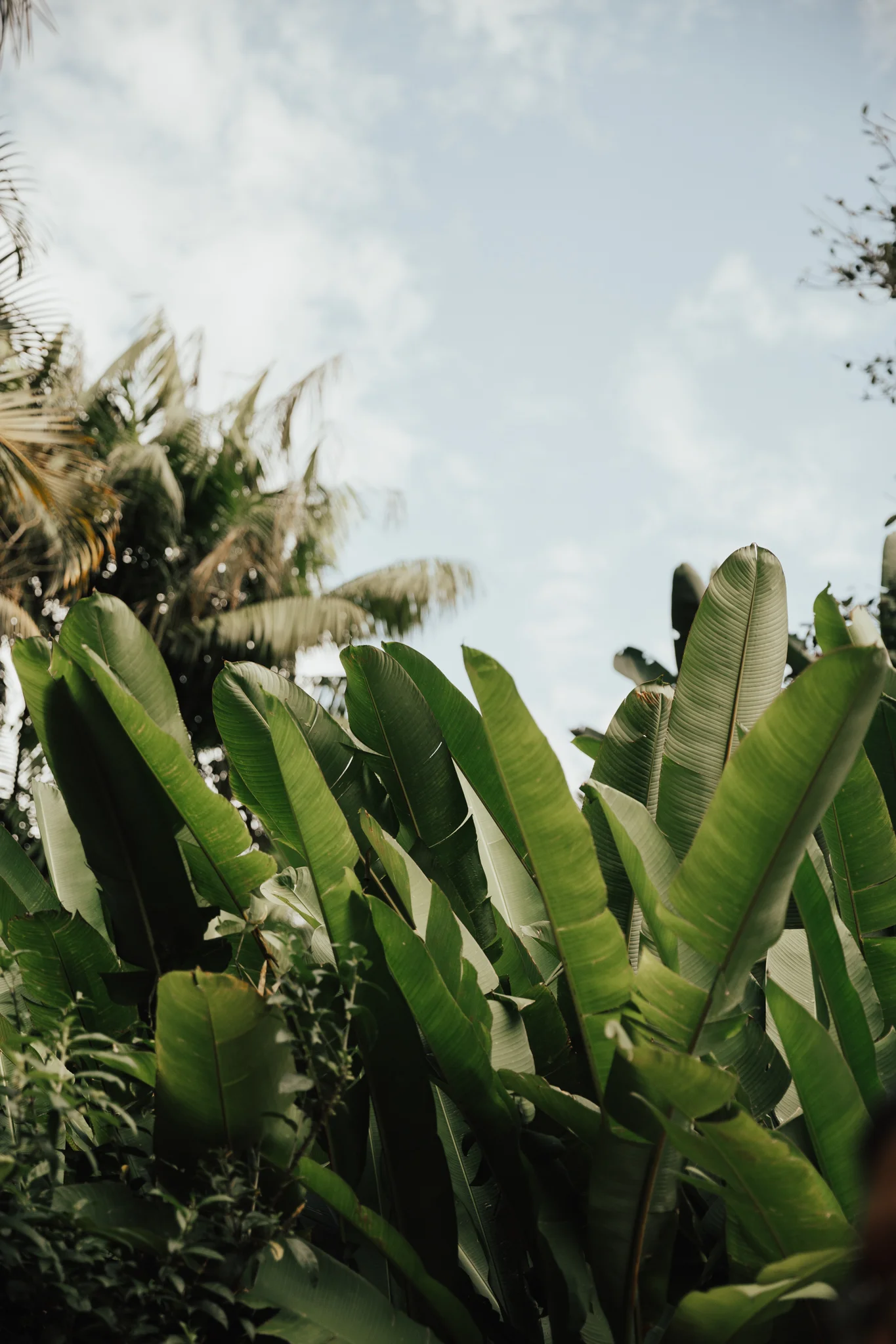 Seseh Beach Villas Bali wedding