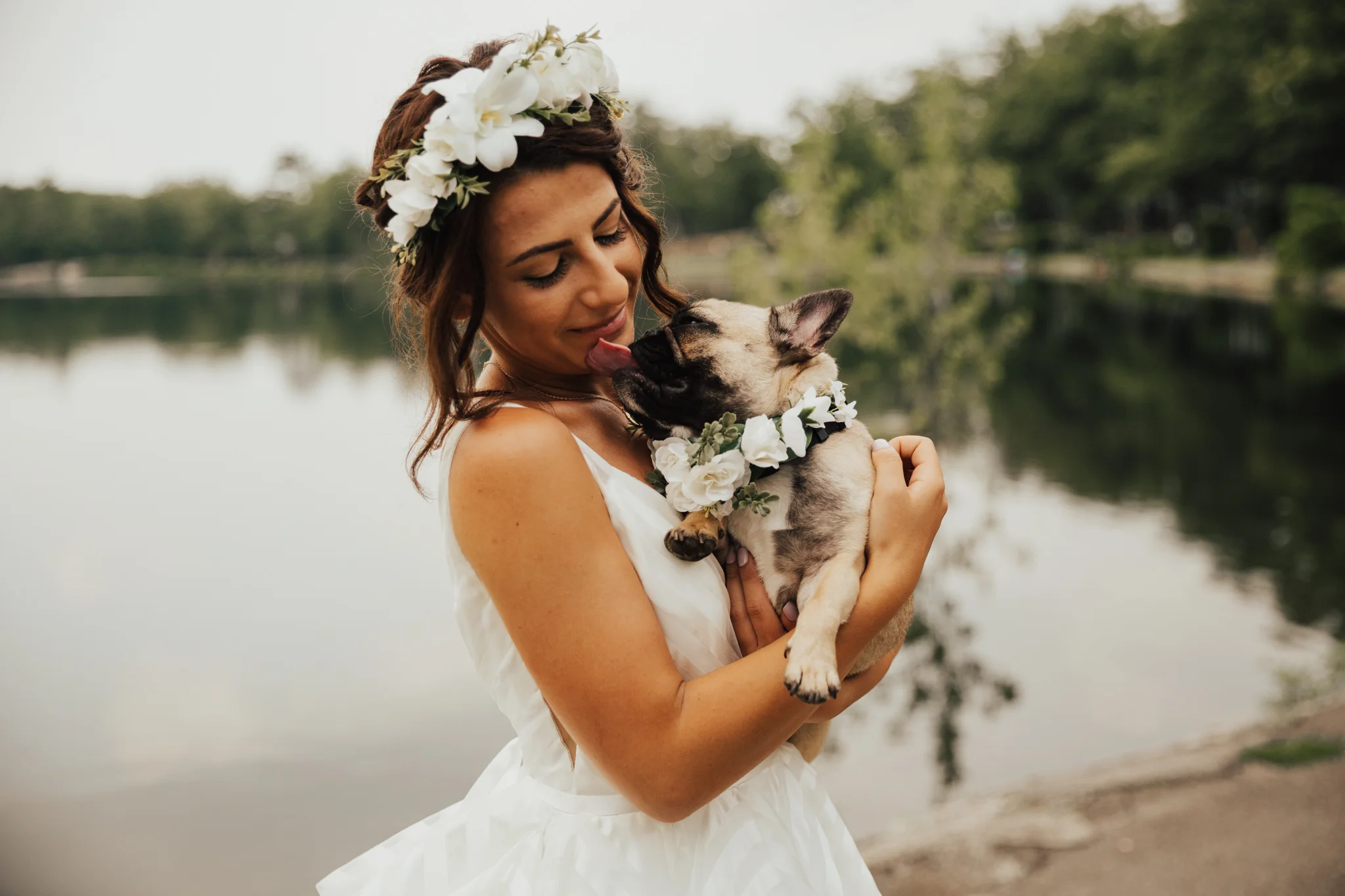 adorable dog wedding photos