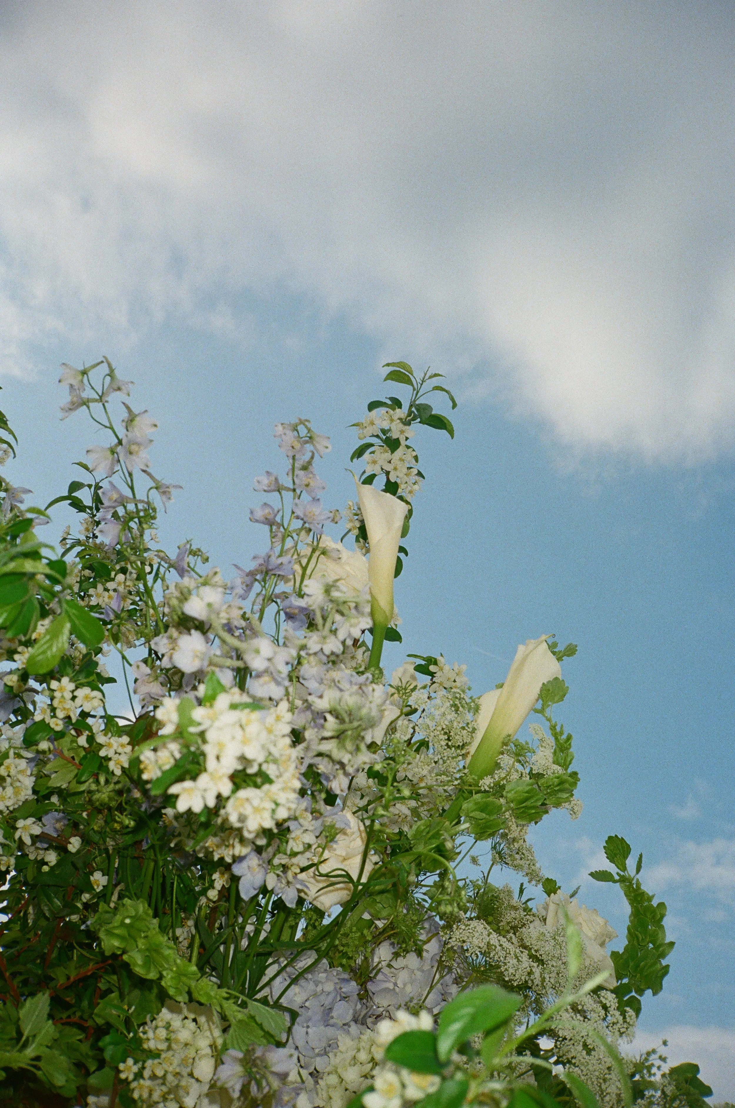 lindsay_nick_weddingfilm040.jpg
