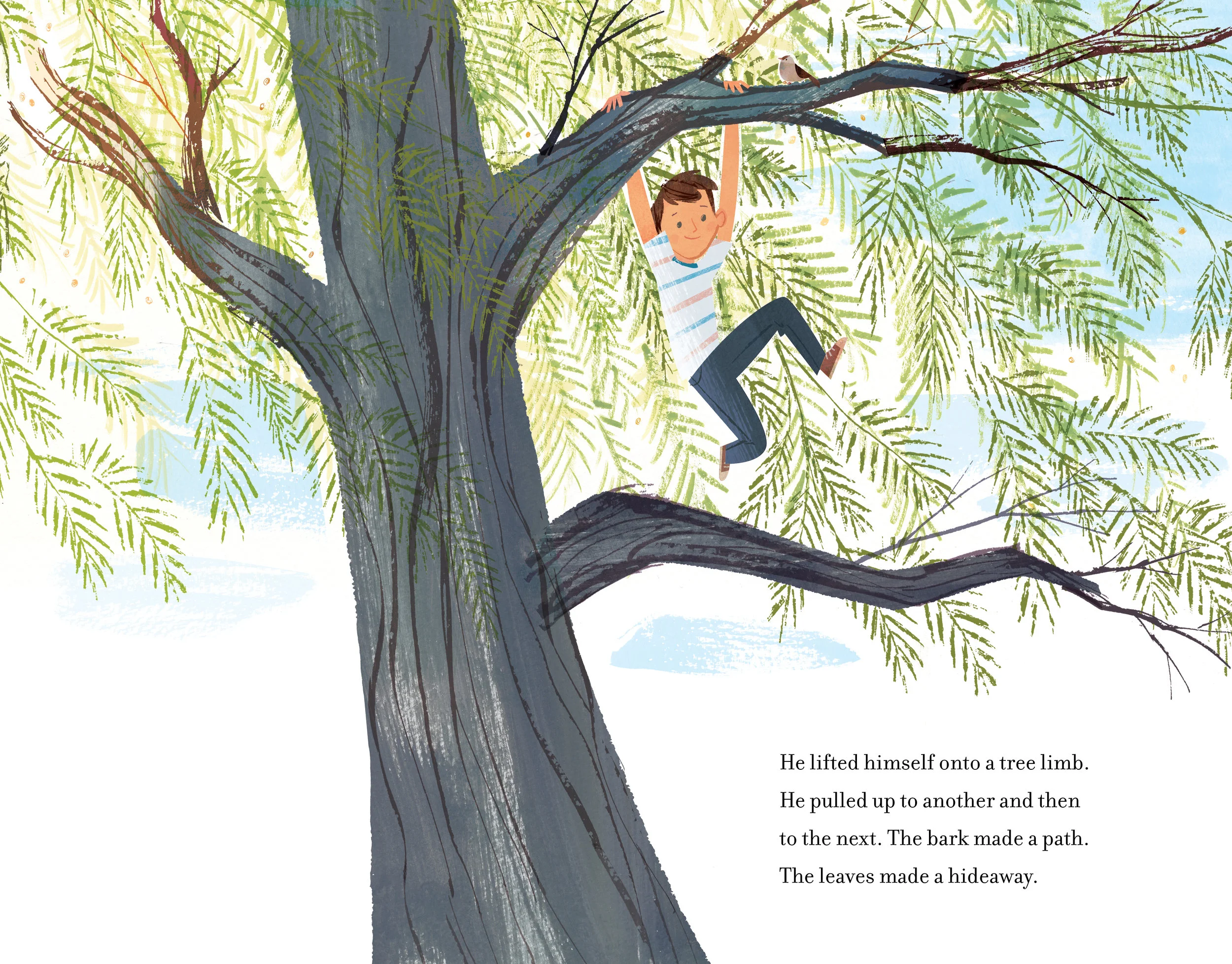 Up in the Leaves1.jpg