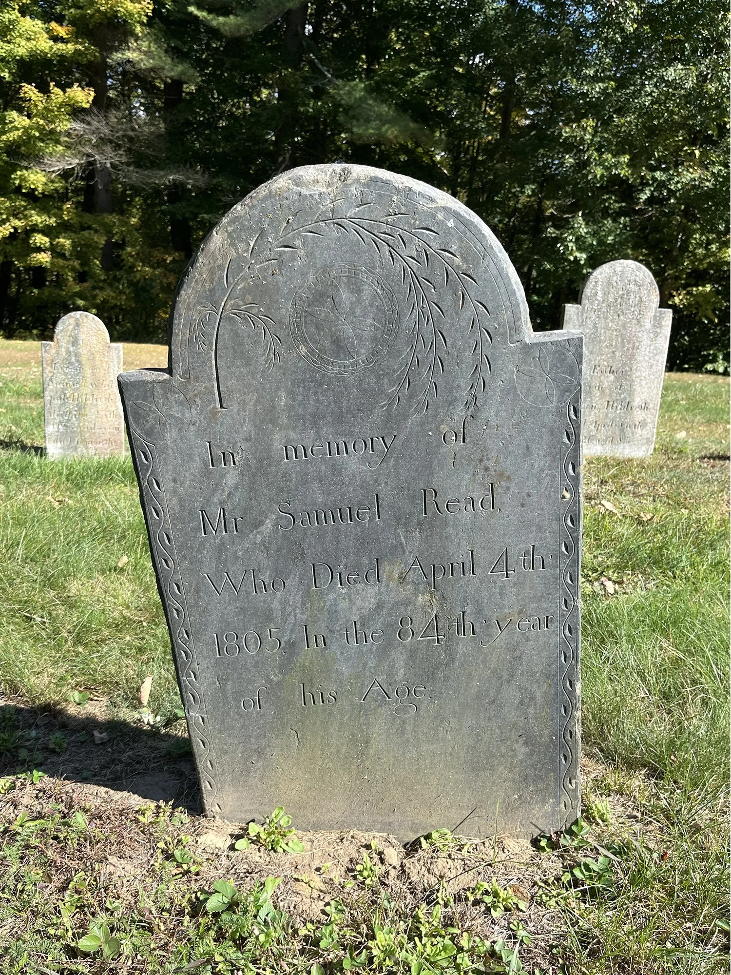 Samuel Read.jpg