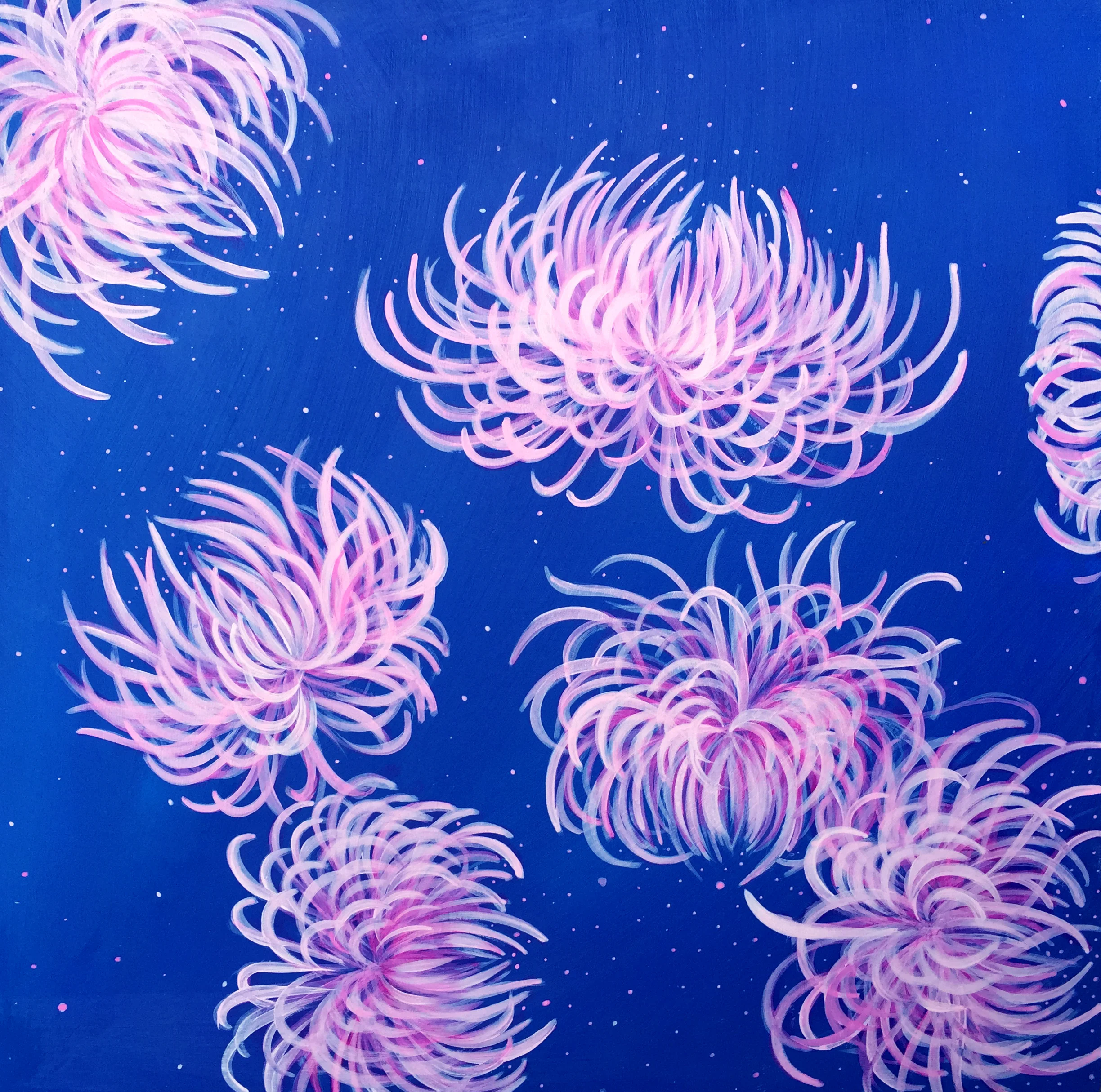 Chrysanthemum Study 1