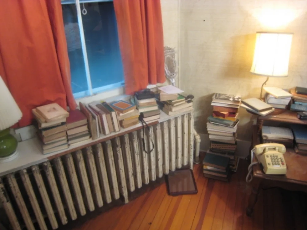 The Vicious KInd - Student Bedroom