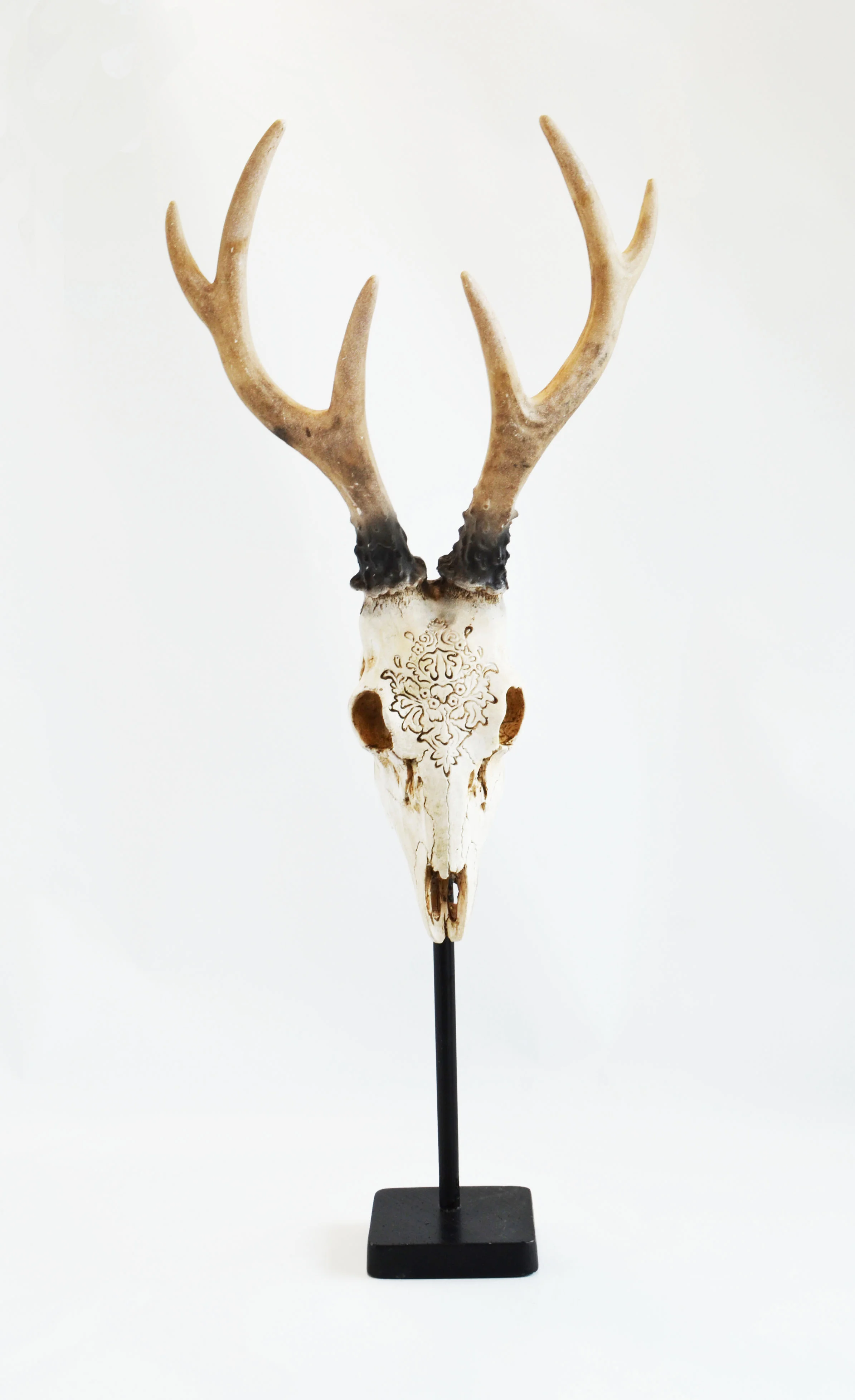 skull with antlers prop Quantity: 1 Price: $25.00