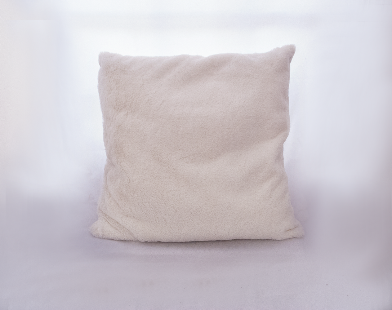 white plush pillow Quantity: 2 Price: $10.00