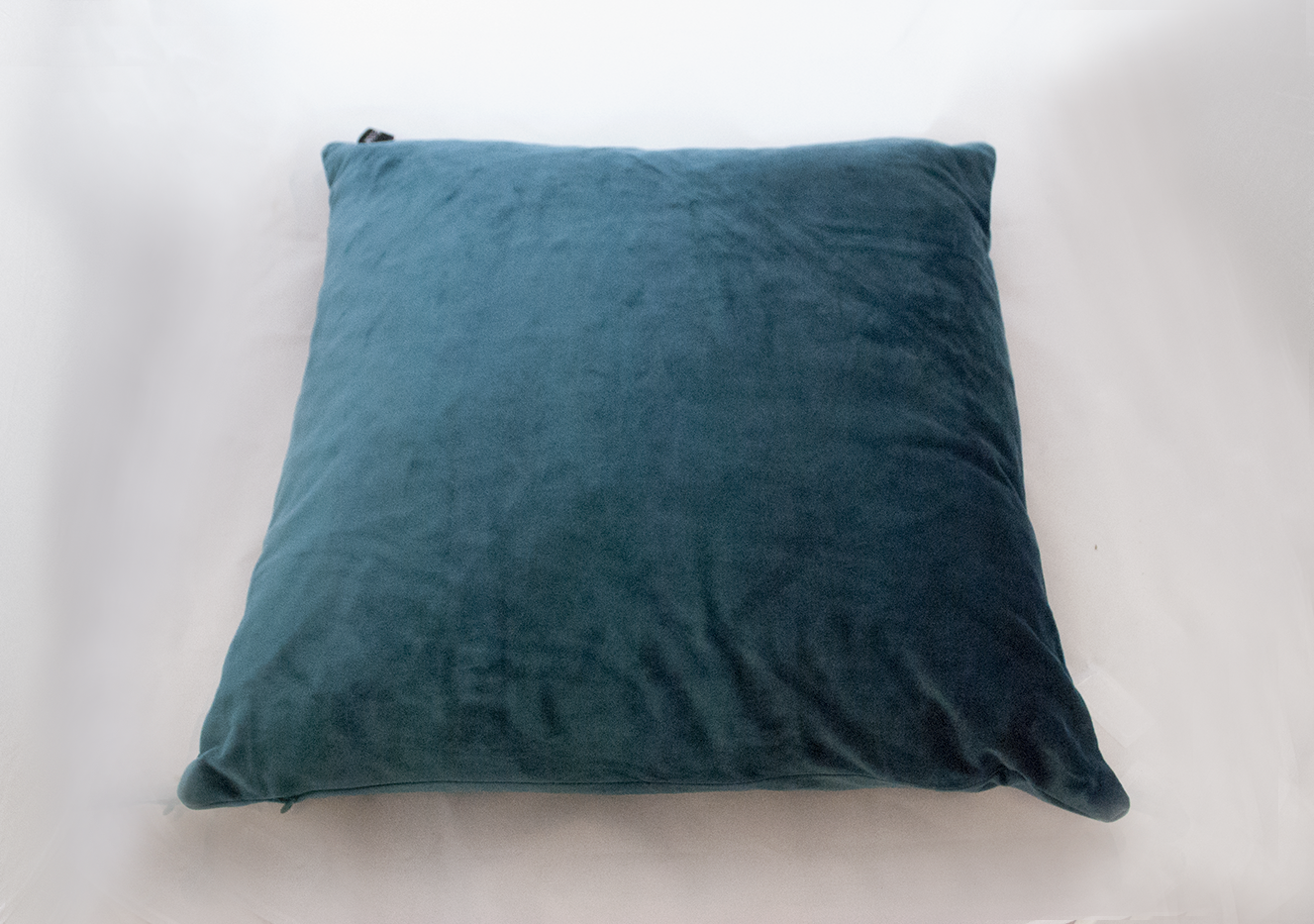 teal velvet pillow Quantity: 1 Price: $10.00