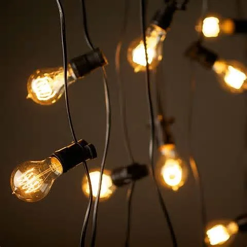 100ft festoon string light Quantity: 4 Price: $100.00