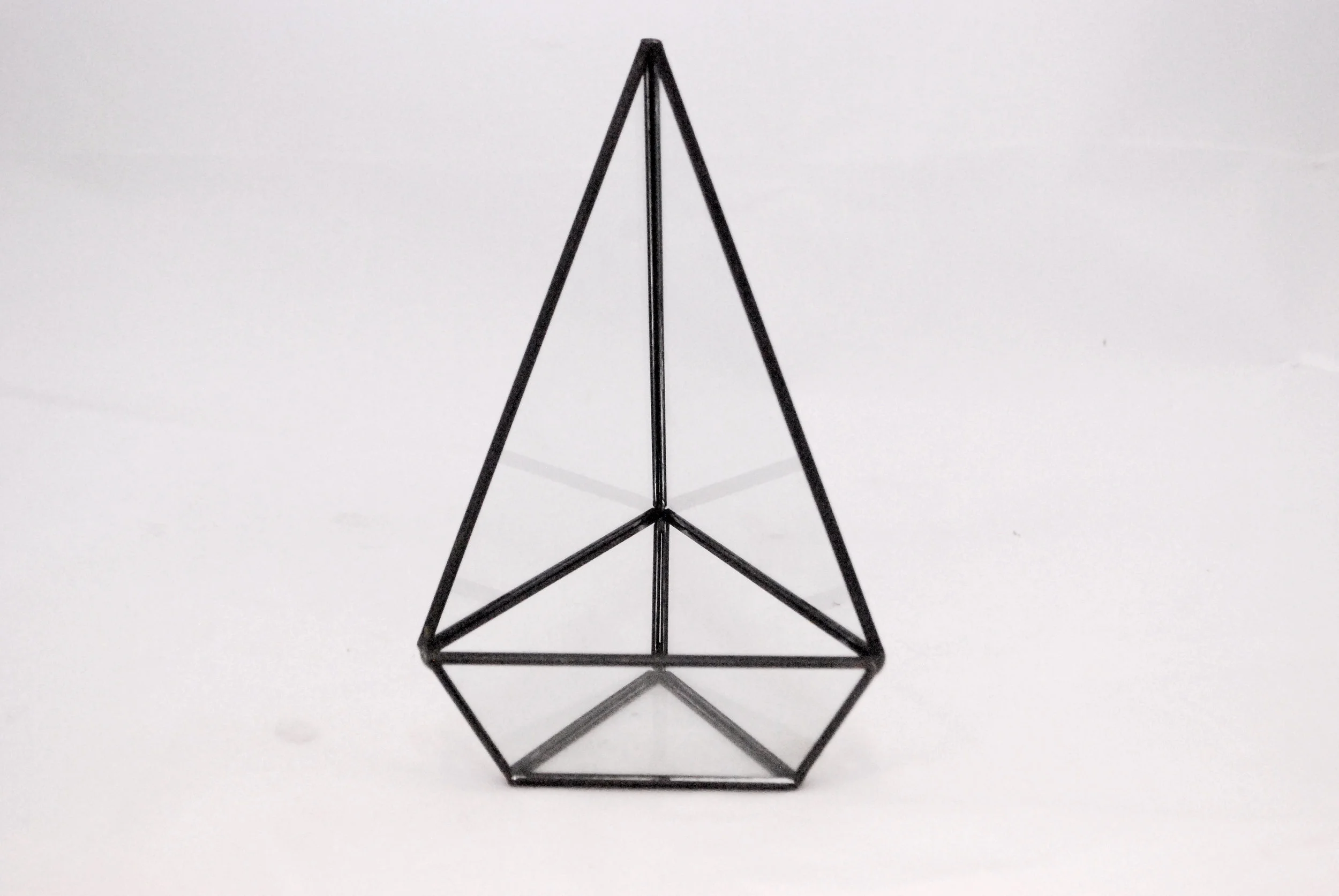 triangle - black terrarium Quantity: 22 Price: $7.50