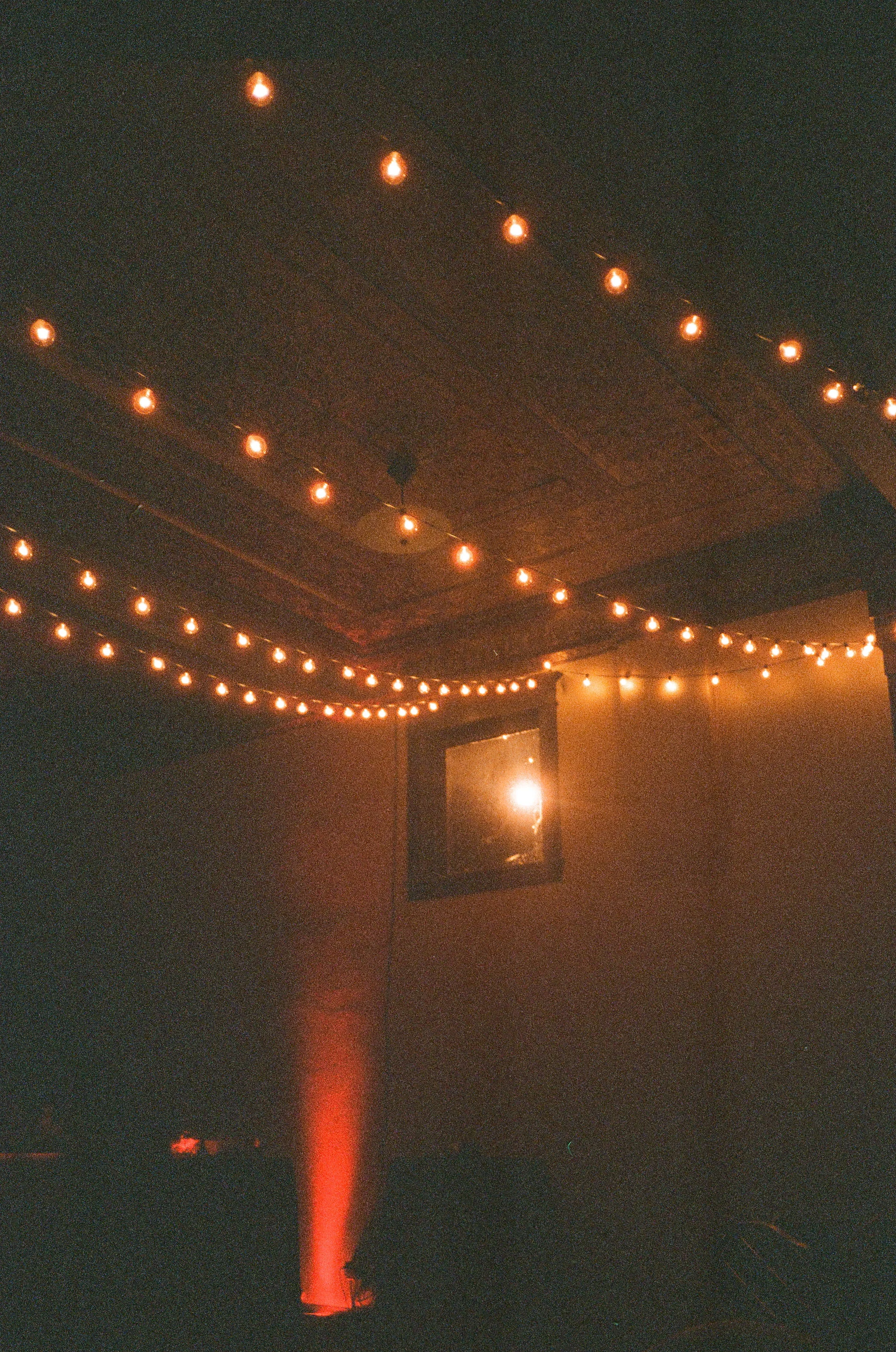 11360021.jpg