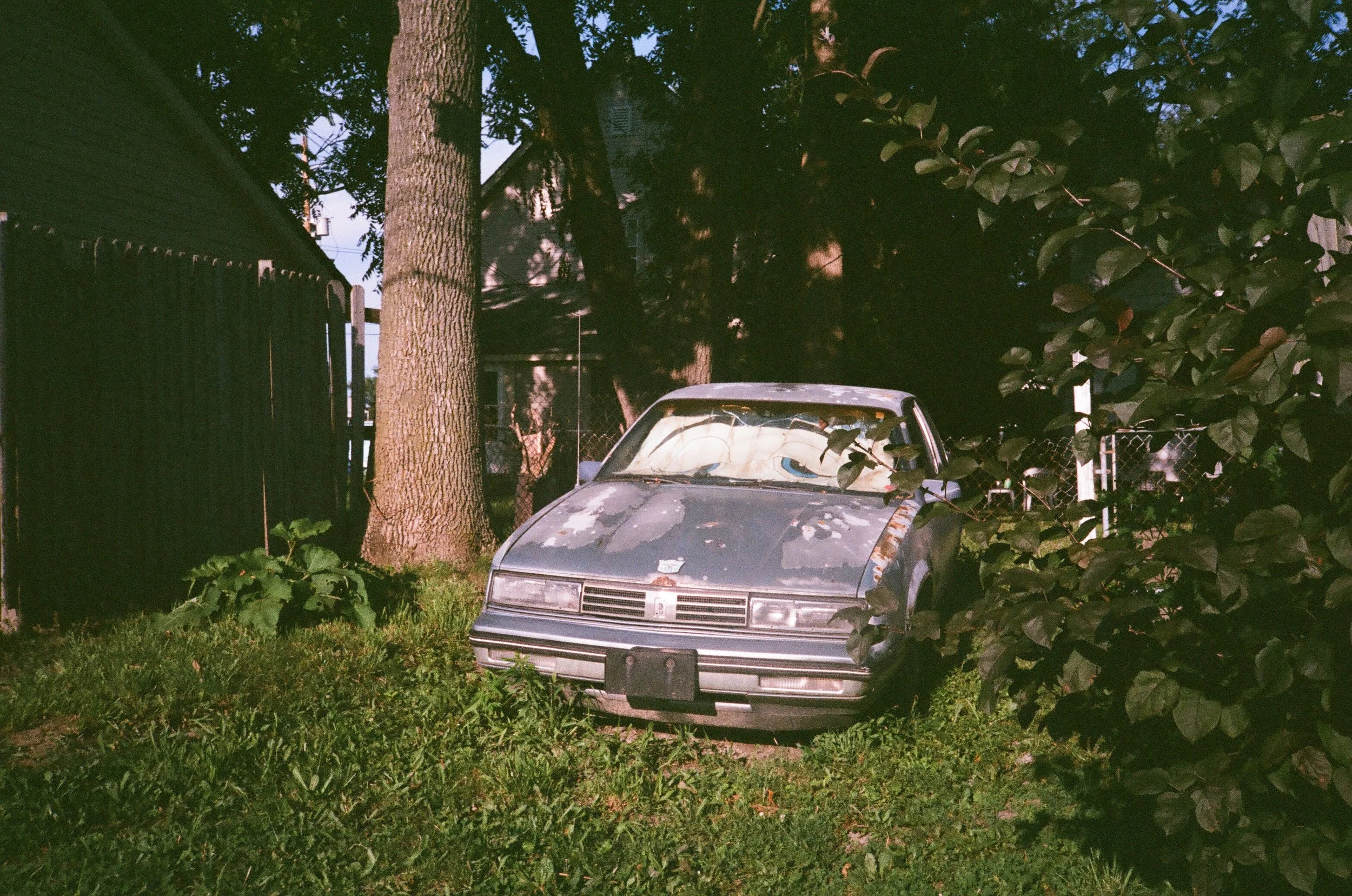 78640015.jpg