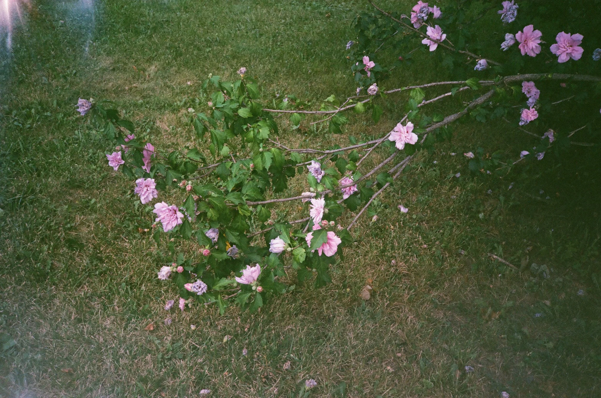 79710020.jpg