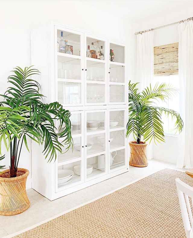 The Power of Plants.🌴😱via: @shirabessinteriors ⬅️Do you have go-to plants for your home?? I just got a Maidenhair Fern around Mother&rsquo;s Day and immediately started dying😬, but with all of YOUR help, I&rsquo;ve been able to bring back to life 