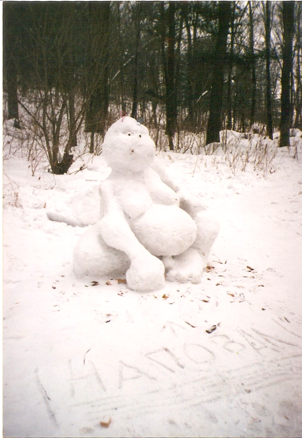 Scan 1.jpeg