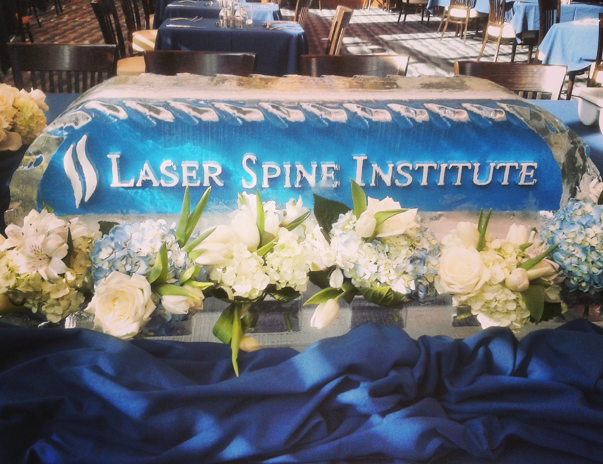 Laser Spine Institute Logo