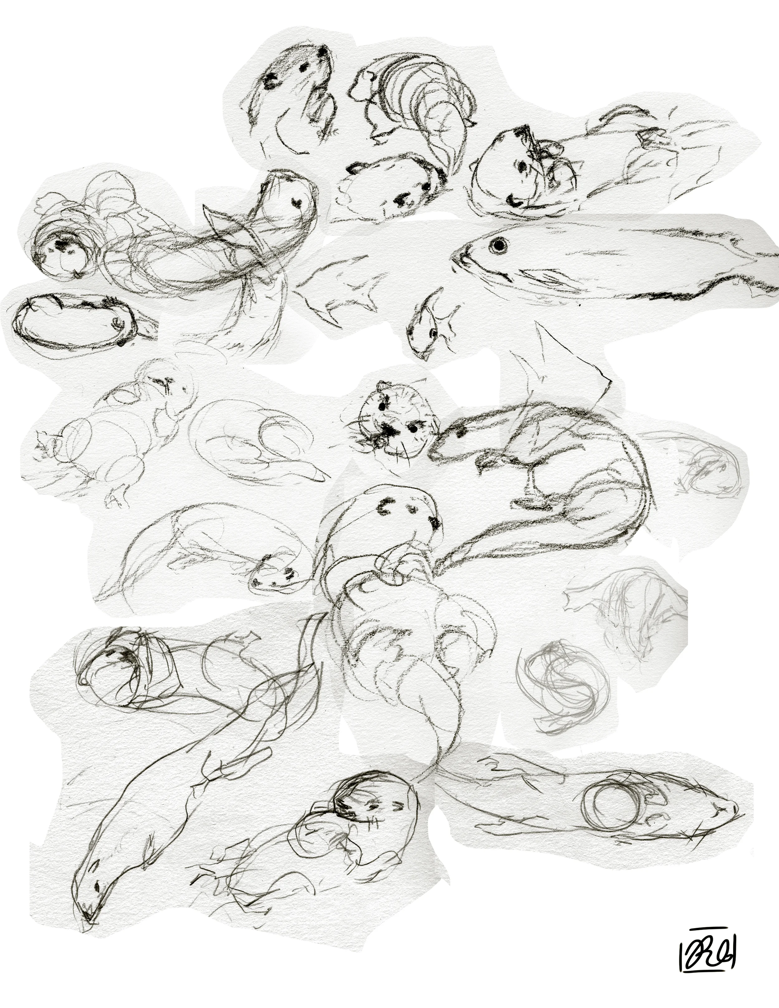Ottersketches.jpg