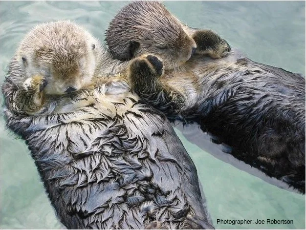 Reach Out and Hold Someone's Hand