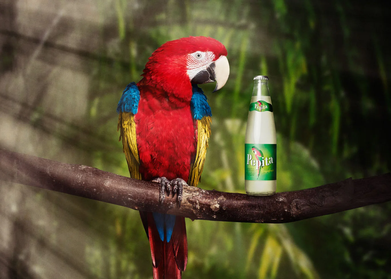 Pepita_Mathias-Zuppiger_Lorenz-Wahl_RGB_thumb.jpg