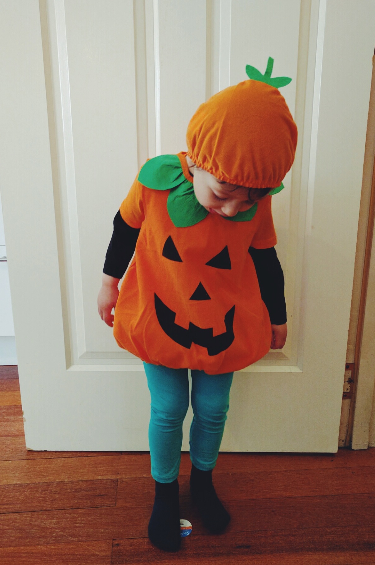 2016-11-30 01.02.36 1.jpg
