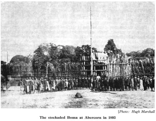 The Stockade Boma at Abercorn in 1893. Constructed by Consul Hugh Marshall, it stood on the left bank of the Lucheche Stream facing down stream with its front gate facing the old Stevenson Road. Later this road ran to St Paul's Mission. It used to wind down to Katuta Bay in Lake Tanganyika where the African Lakes Corporation had a depot. The site is some 2 to 3km north of the Old Prison near what used to be called the Boma Gardens. There should be the remains of a large high roofed house nearby.