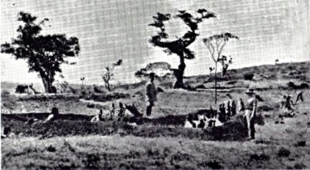 The trenches on the Siaisi in June 1915.