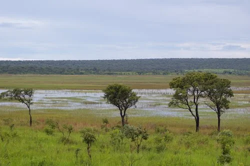 The Buningi Pans are two small marshy depression lakes some 12 miles down the Kasama Road. They used to be a venue for duck shooting picinics for the early settlers. Archeological excavations by John and Sheelagh Carlin shows that they were inhabited in prehistoric times.