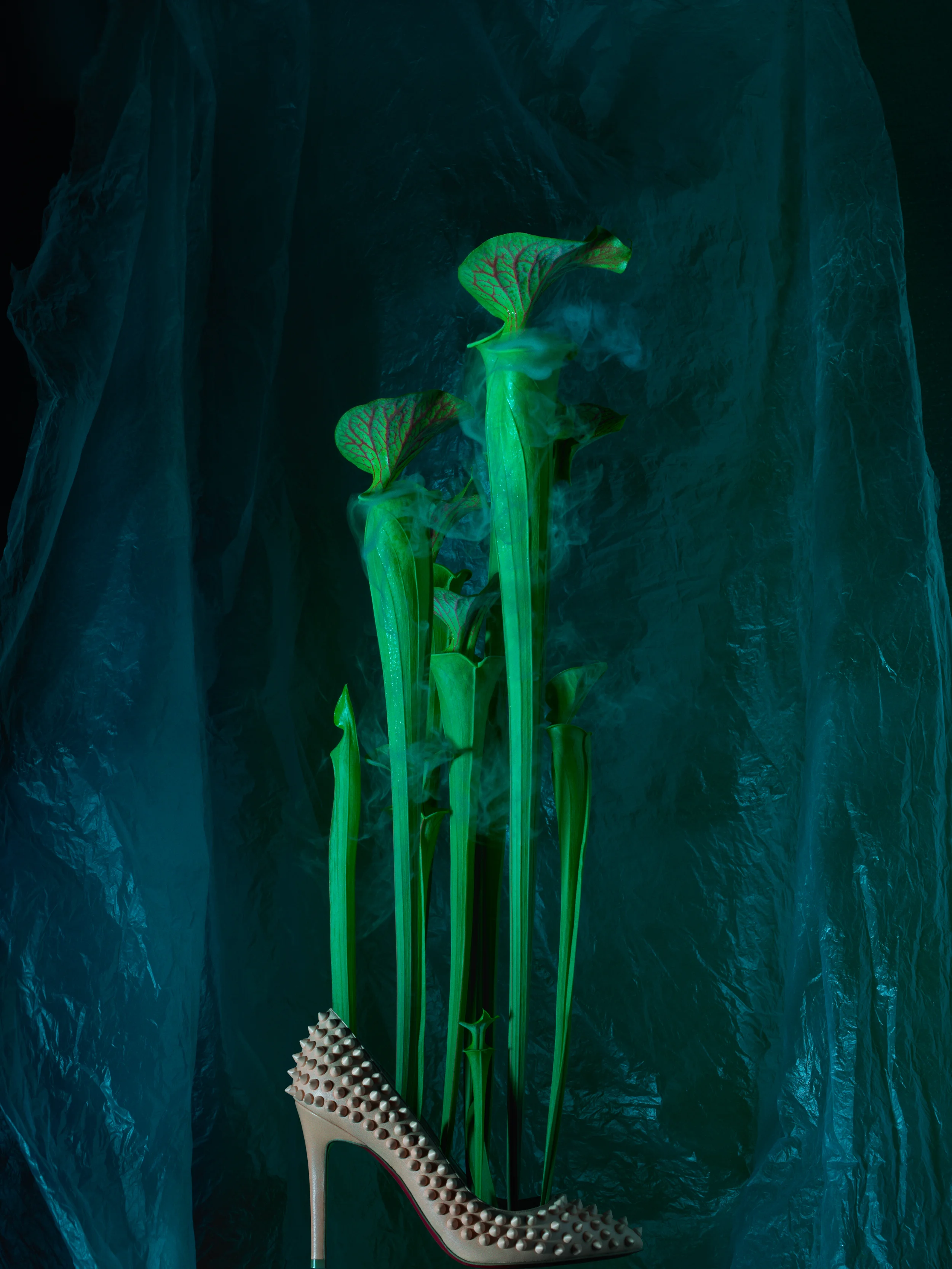 PHOTOSYNTHESIS ARTIFICIALIS  (I)