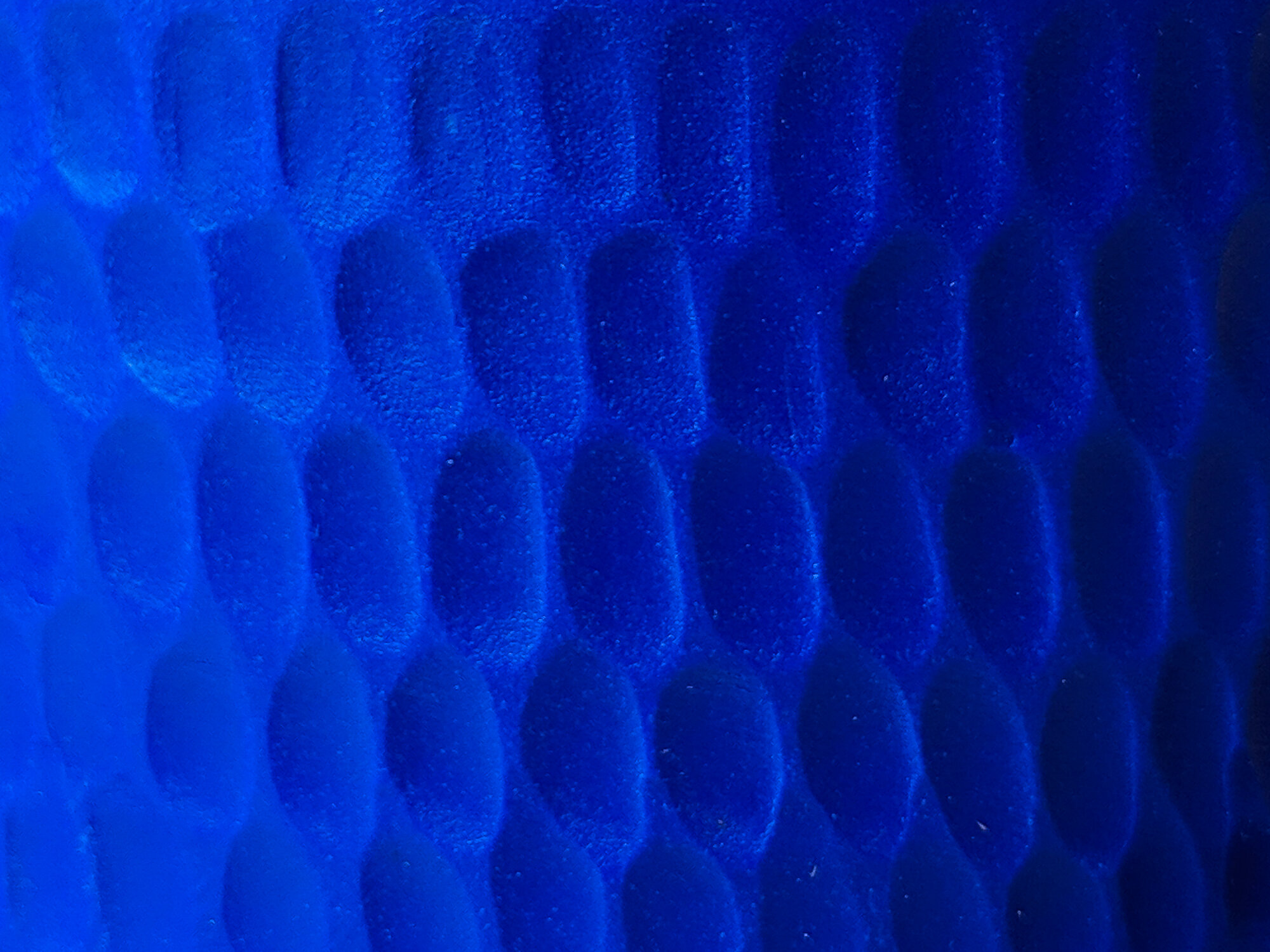 00000PORTRAIT_00000_BURST20191110121157035.jpg