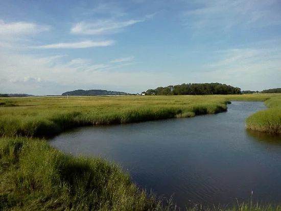 essex-river-salt-marshes.jpg