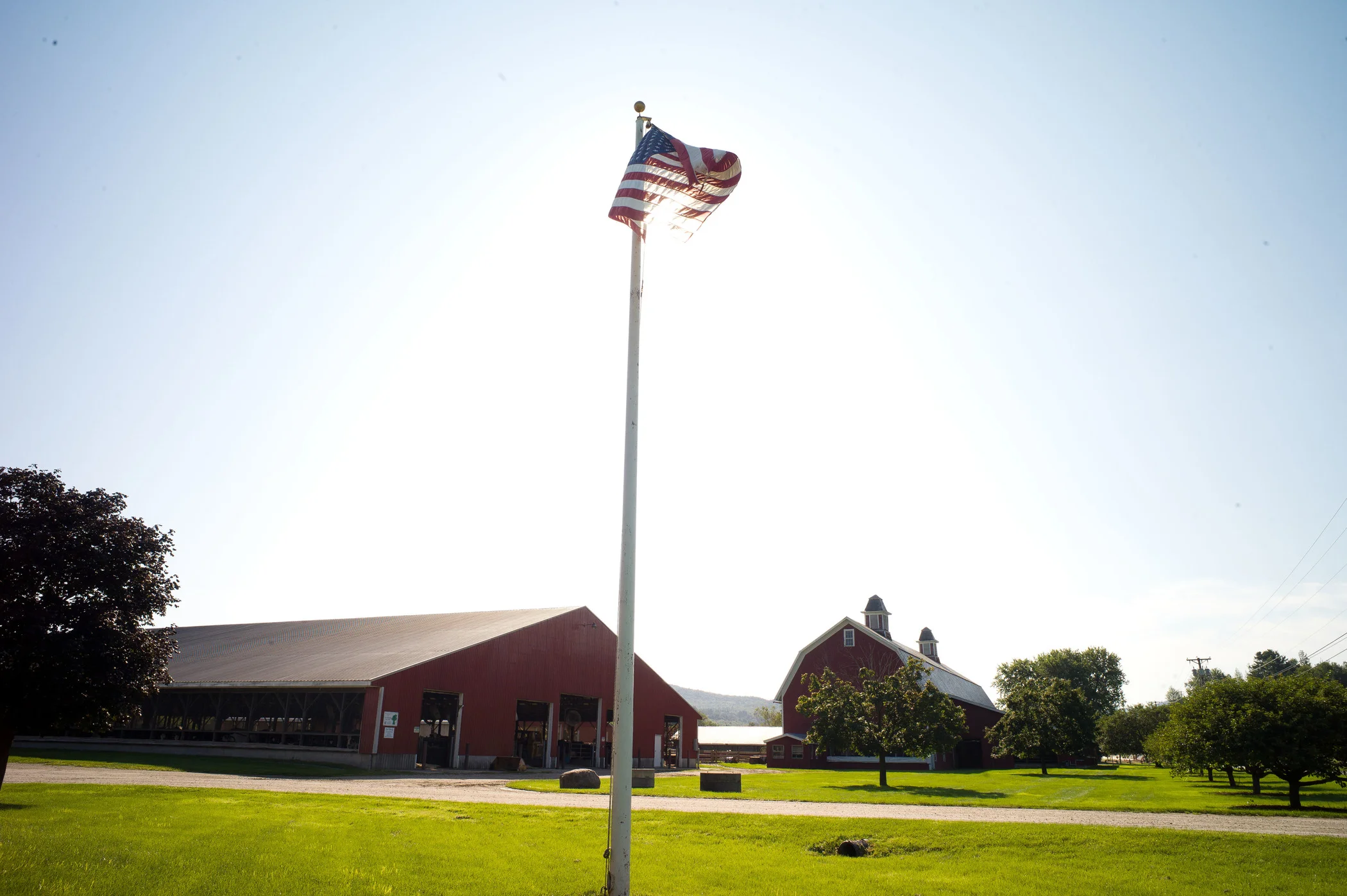 A bright, sunny morning on the farm
