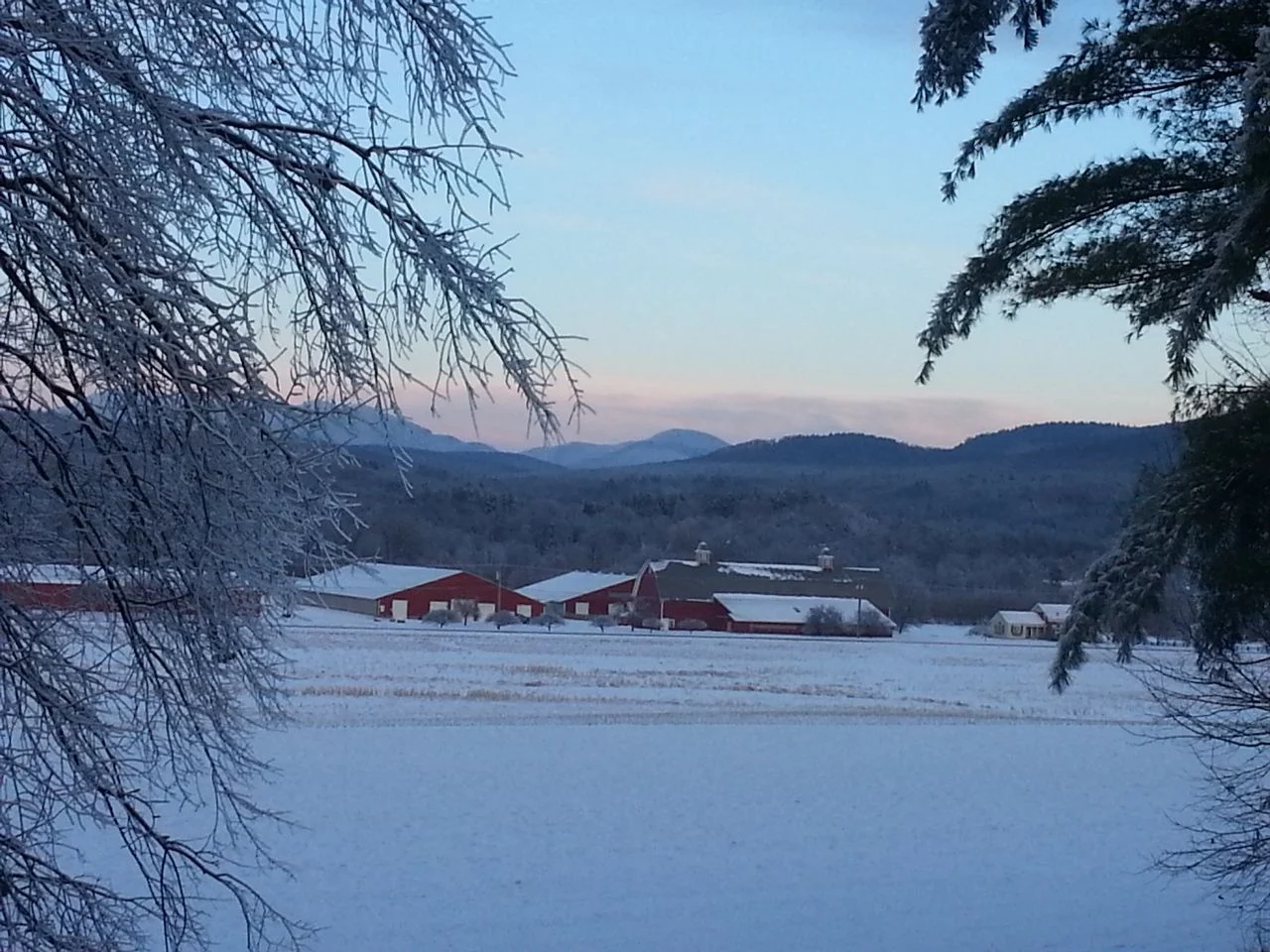 A snowy view from "dead dog hill" - the final resting place for the Riverside canines we've loved and lost