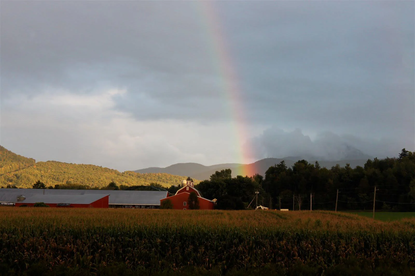 Rainbow's end