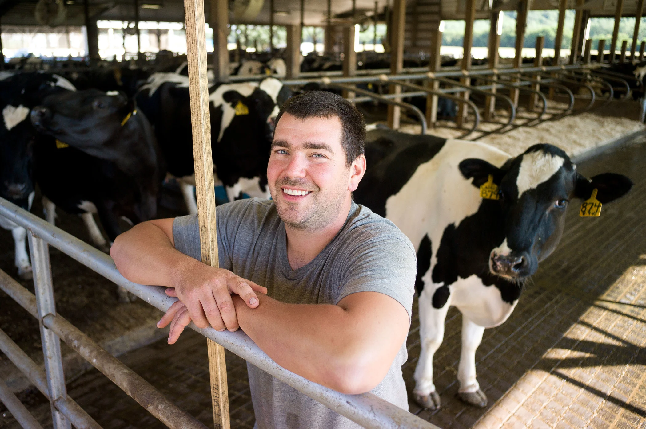 Our barns are furnished with state-of-the-art temperature controls, and our cows sleep on ergonomically designed mattresses.