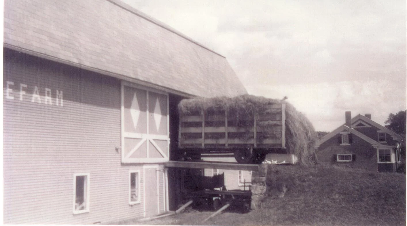 Hay was once stored in the loft of the barn. 