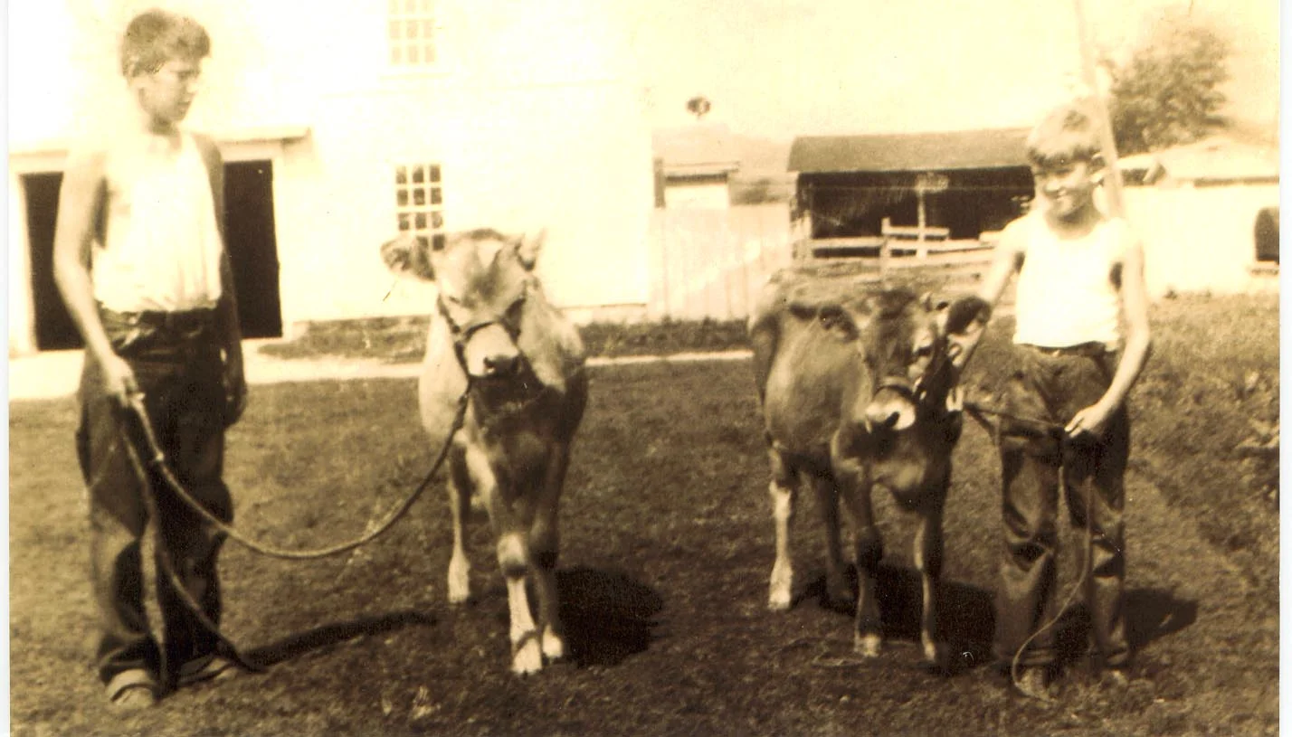 Ransom and Willard show off their cows